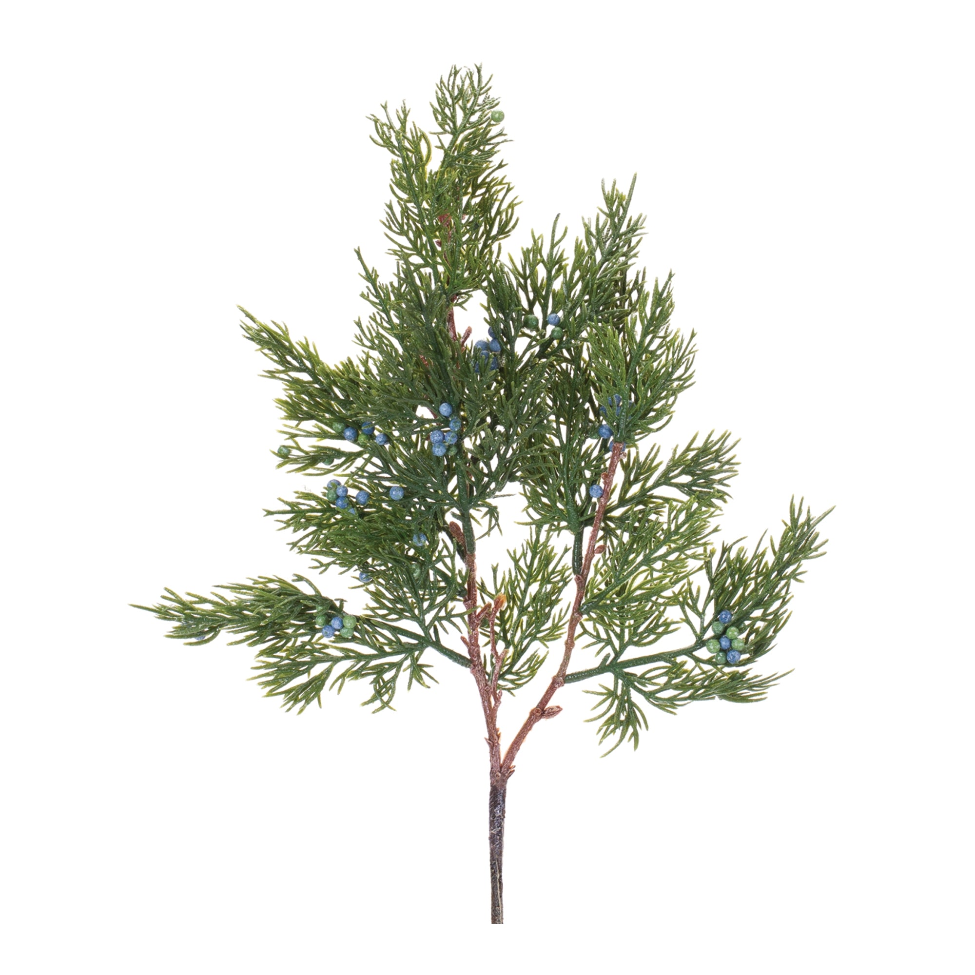 Pine Spray (Set of 12)