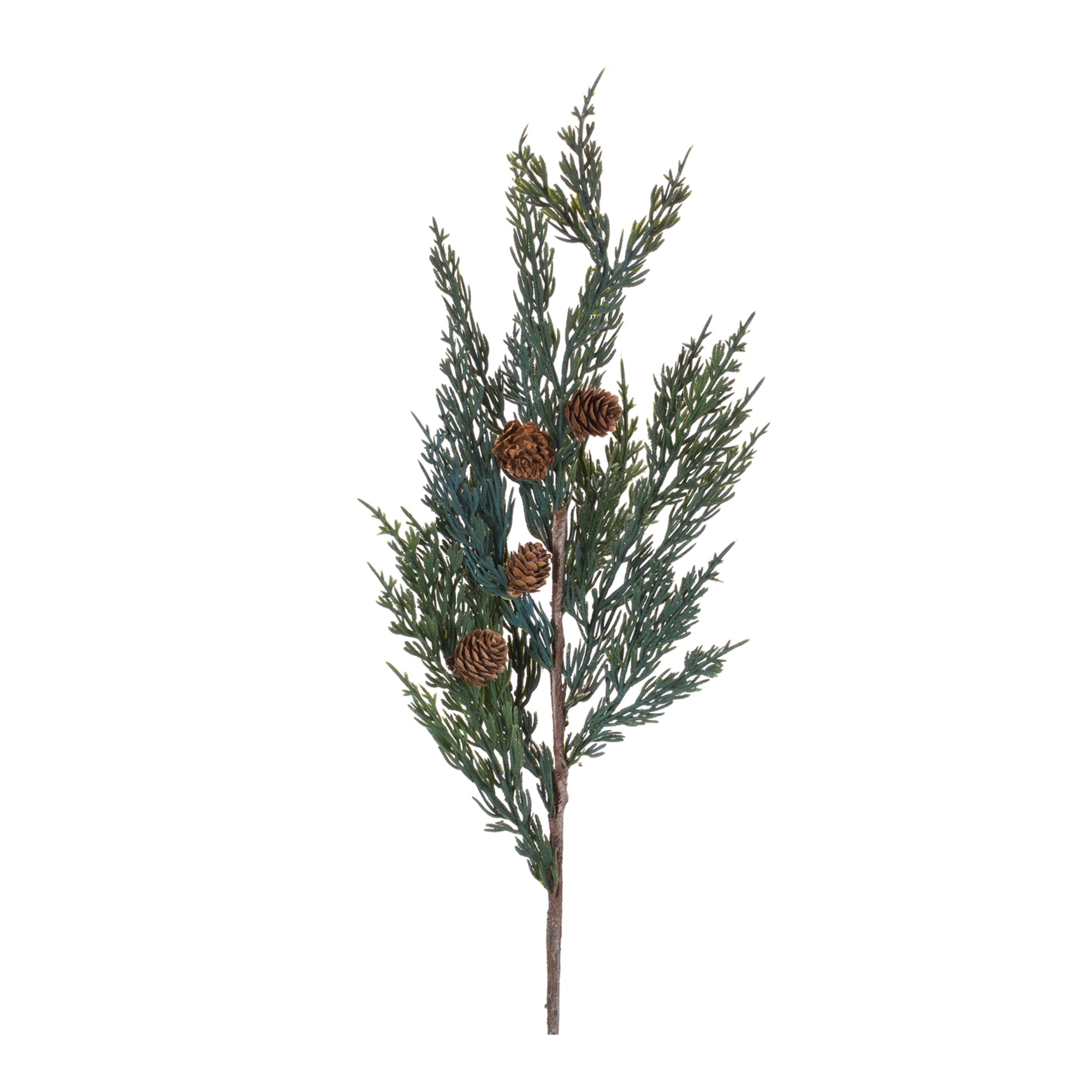 Pine Spray (Set of 24)