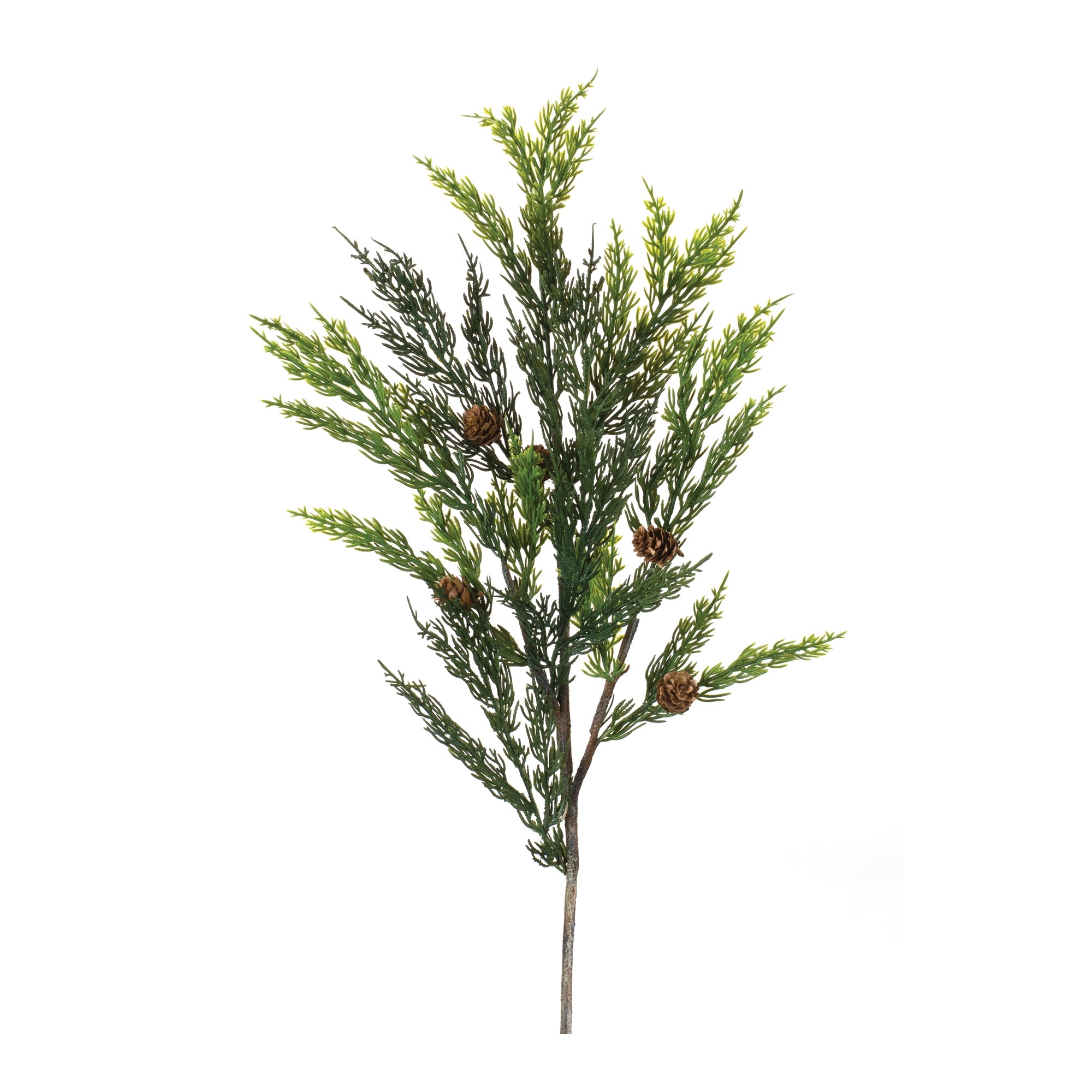 Pine Spray (Set of 6)