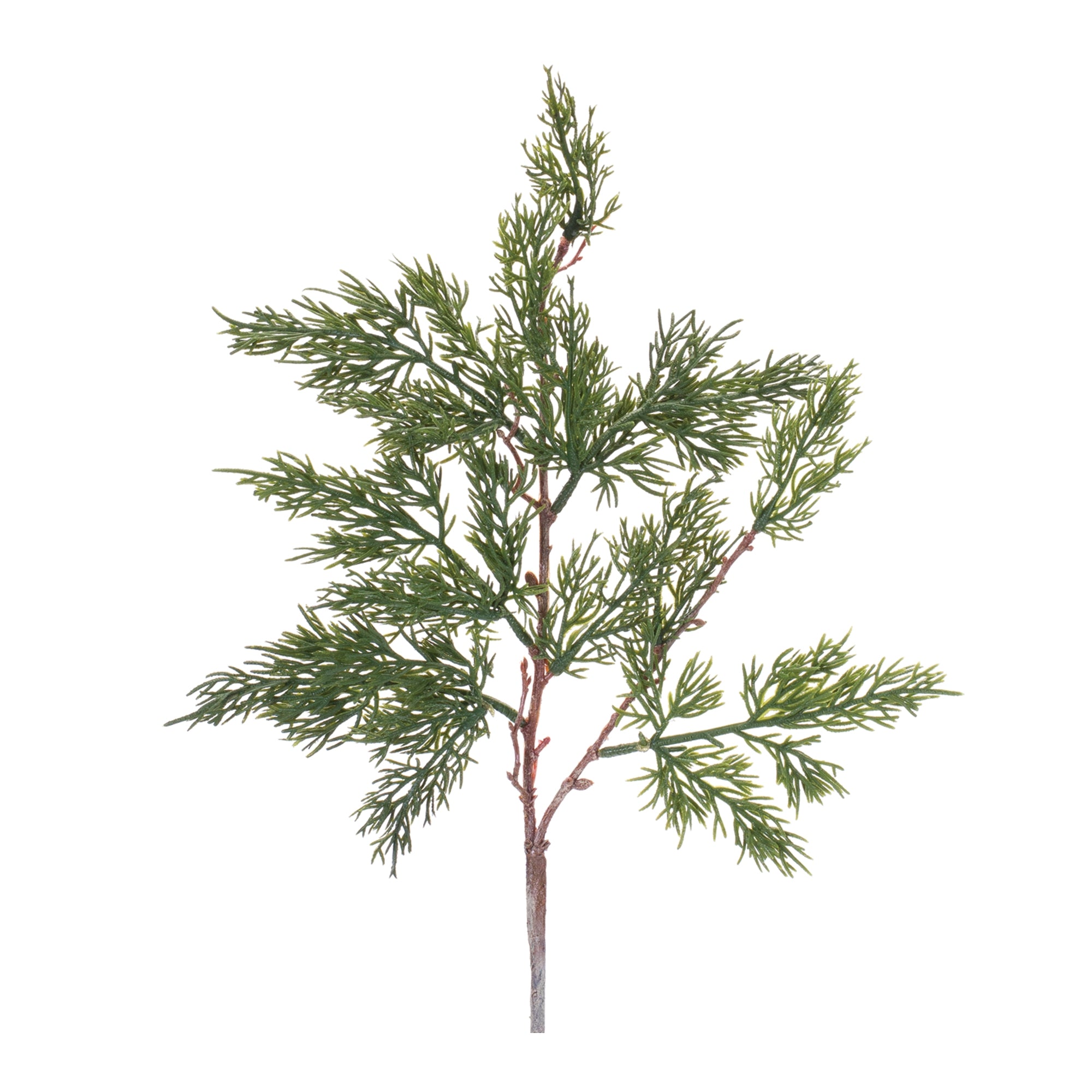 Pine Spray (Set of 12)