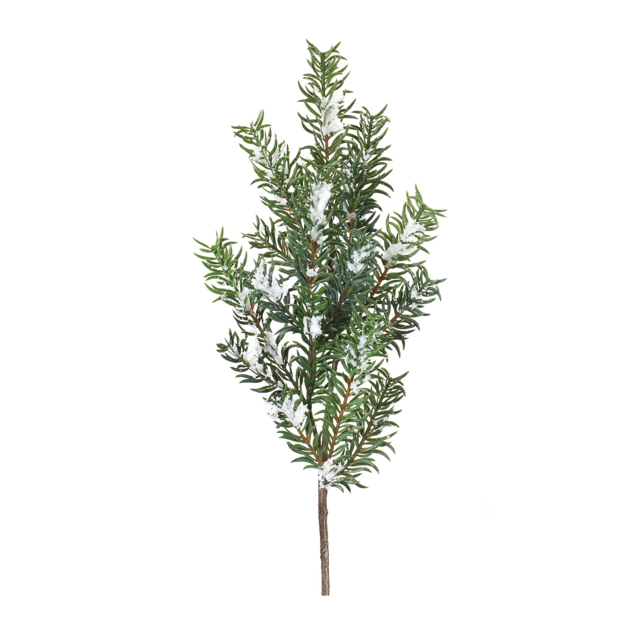 Snow Pine Spray (Set of 6)