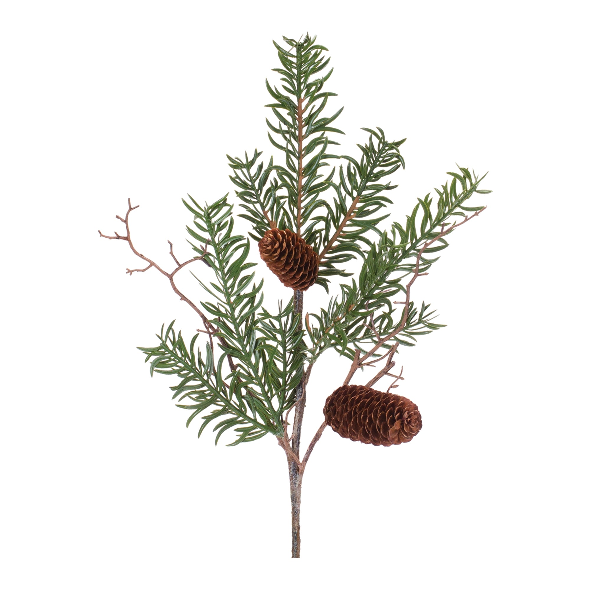 Pine Spray (Set of 12)