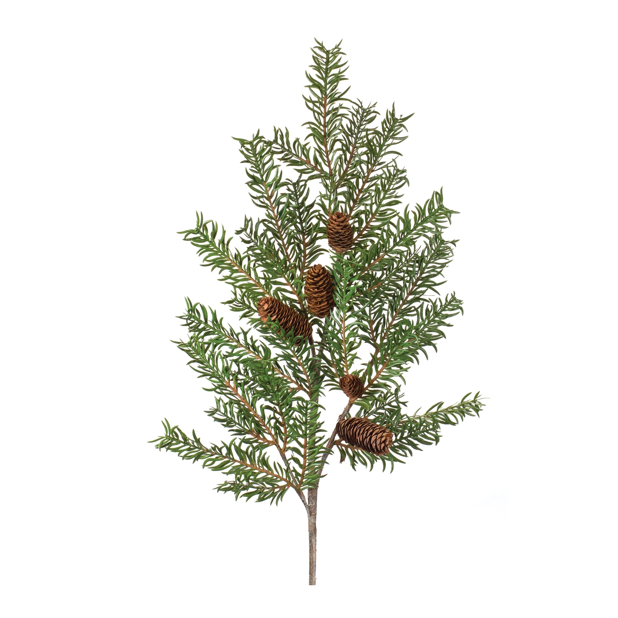 Pine Spray (Set of 2)