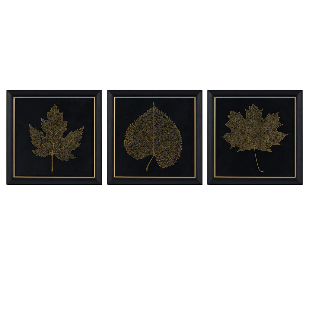 Gilded Trio Botanical Illustration 3-piece Framed Glass and Single Matted Wall Art Set