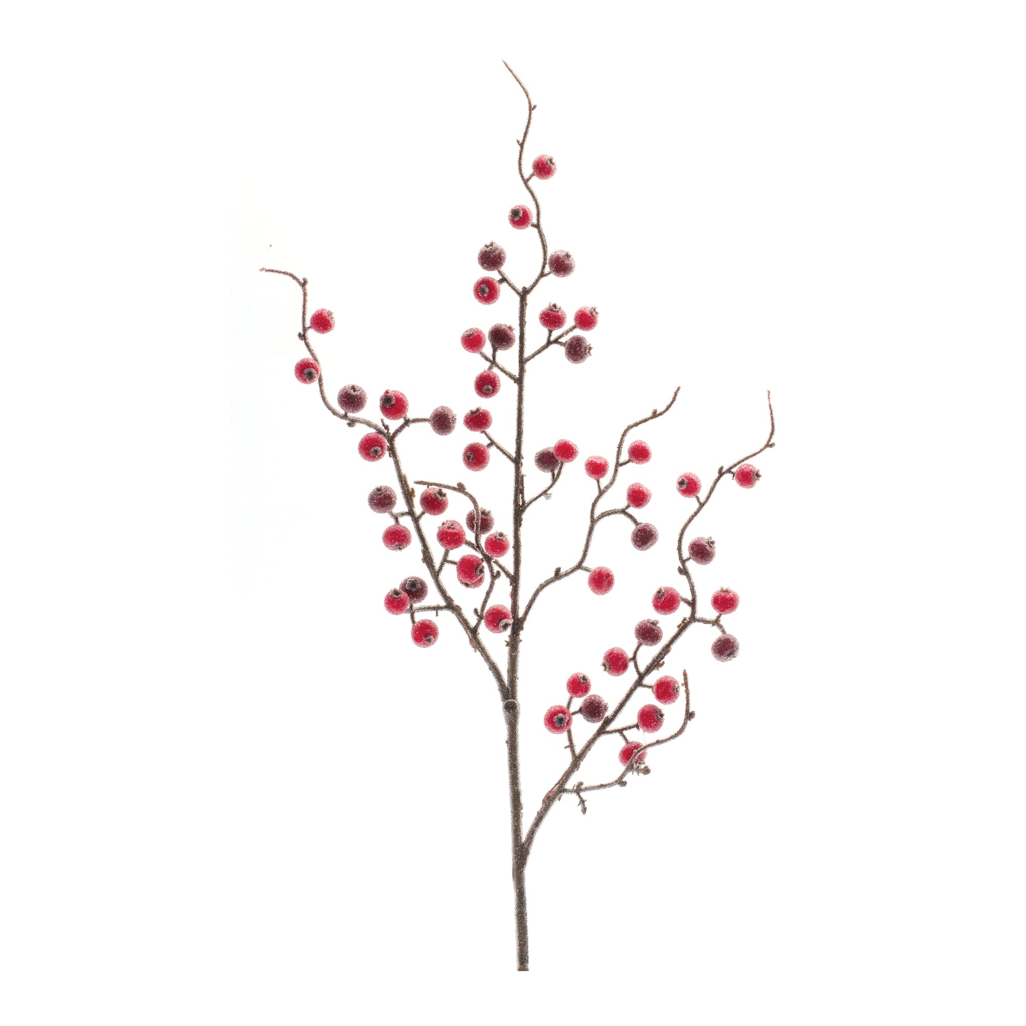 Iced Berry Twig Spray (Set of 12)