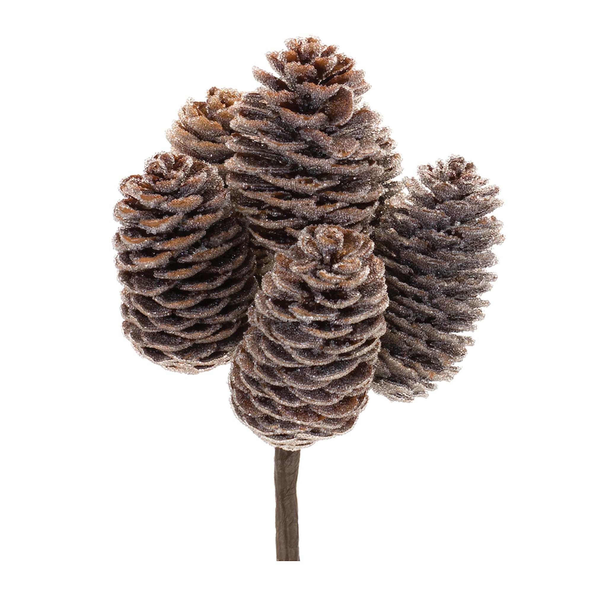 Pine Cone Bundle (Set of 12)