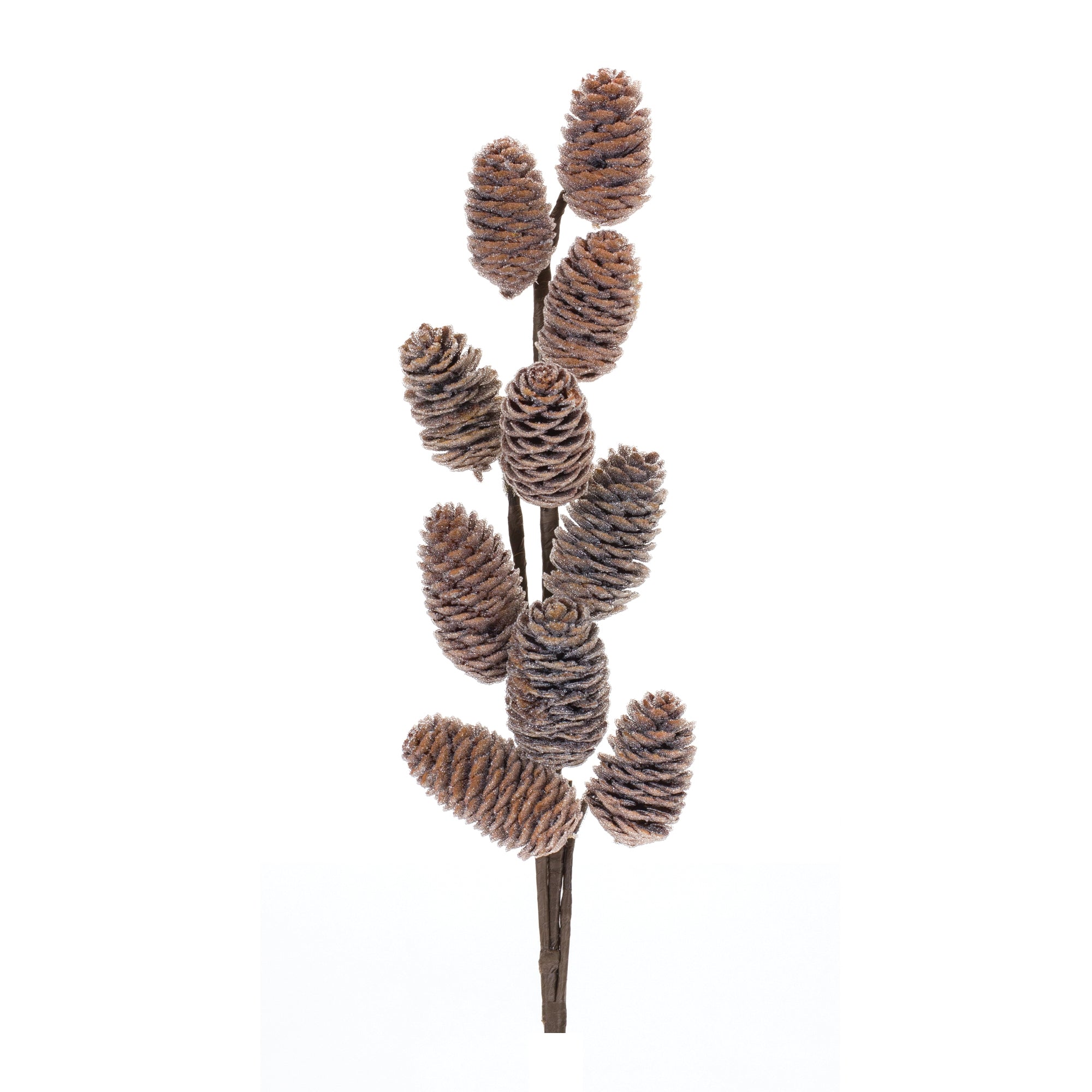 Pine Cone Spray (Set of 6)