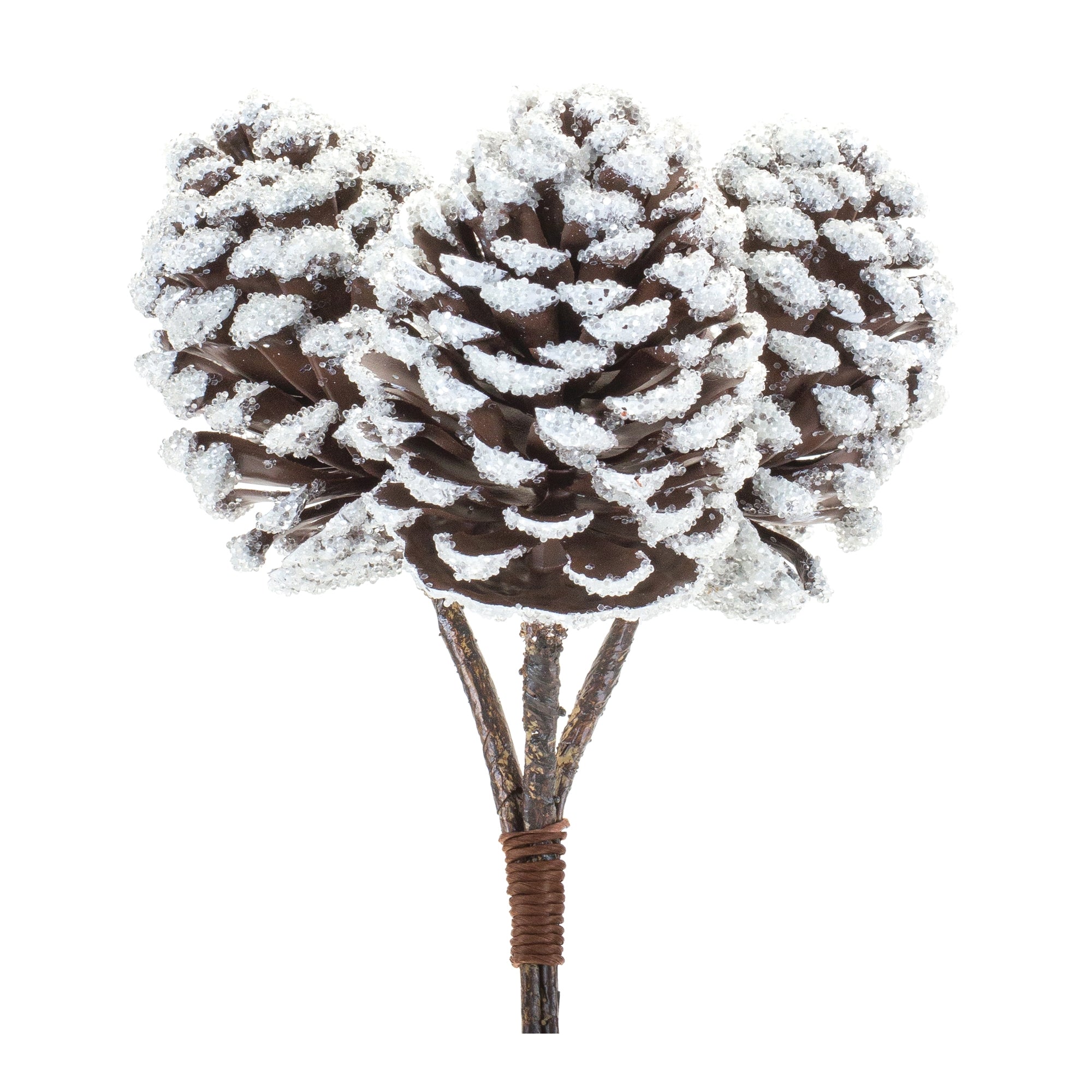 Flocked Pine Cone Bundle (Set of 6)