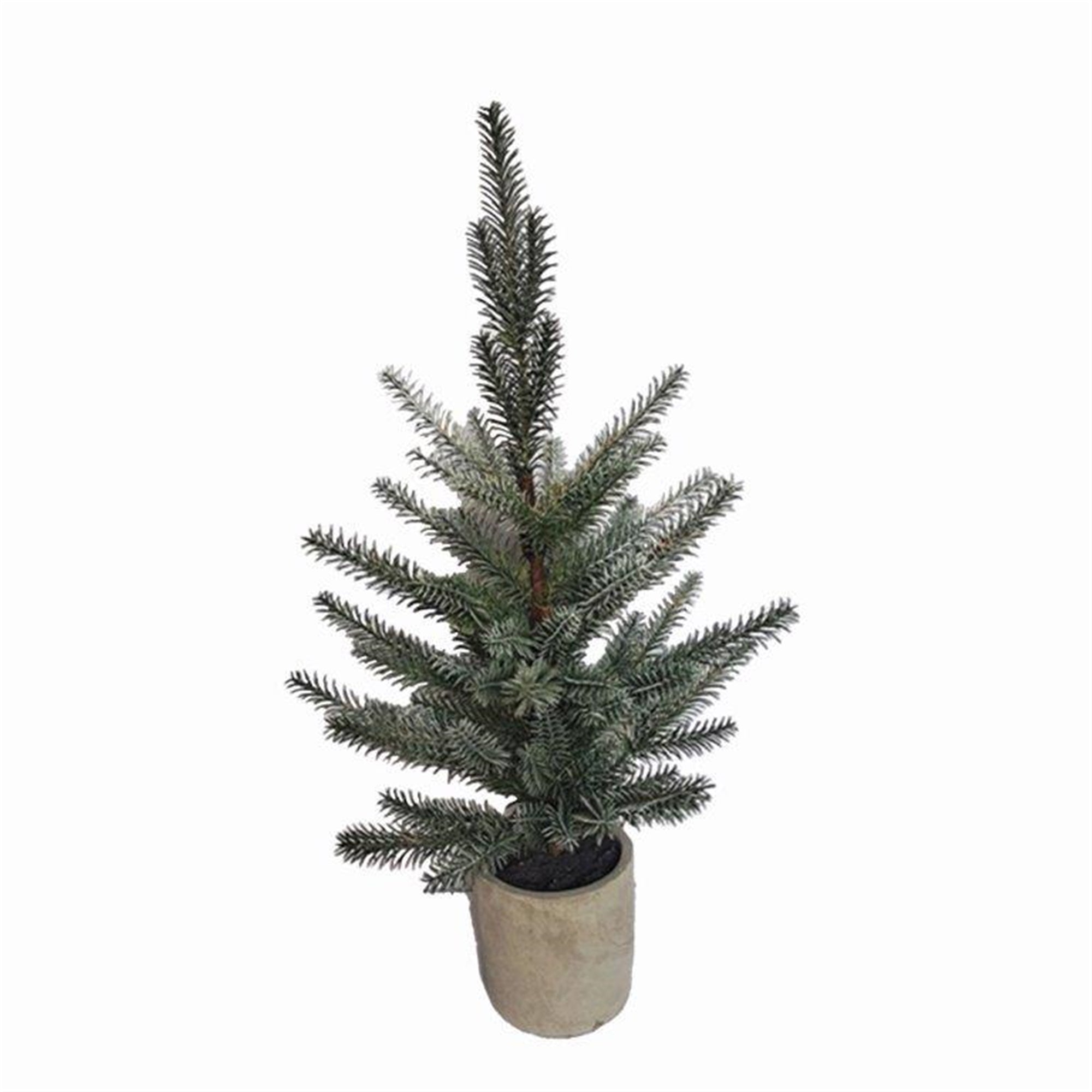 Potted Pine Tree 24”H