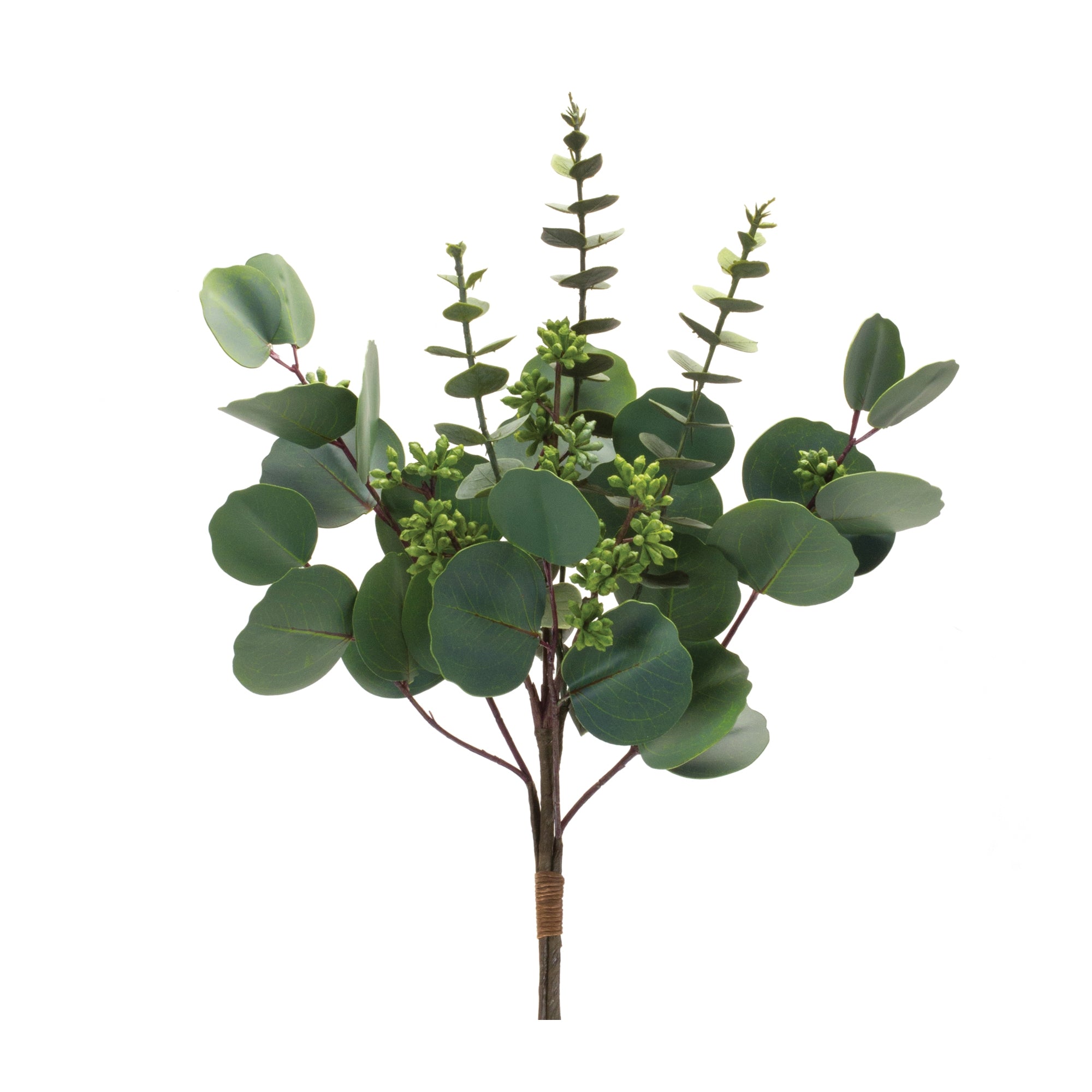 Mixed Eucalyptus Bundle (Set of 6)