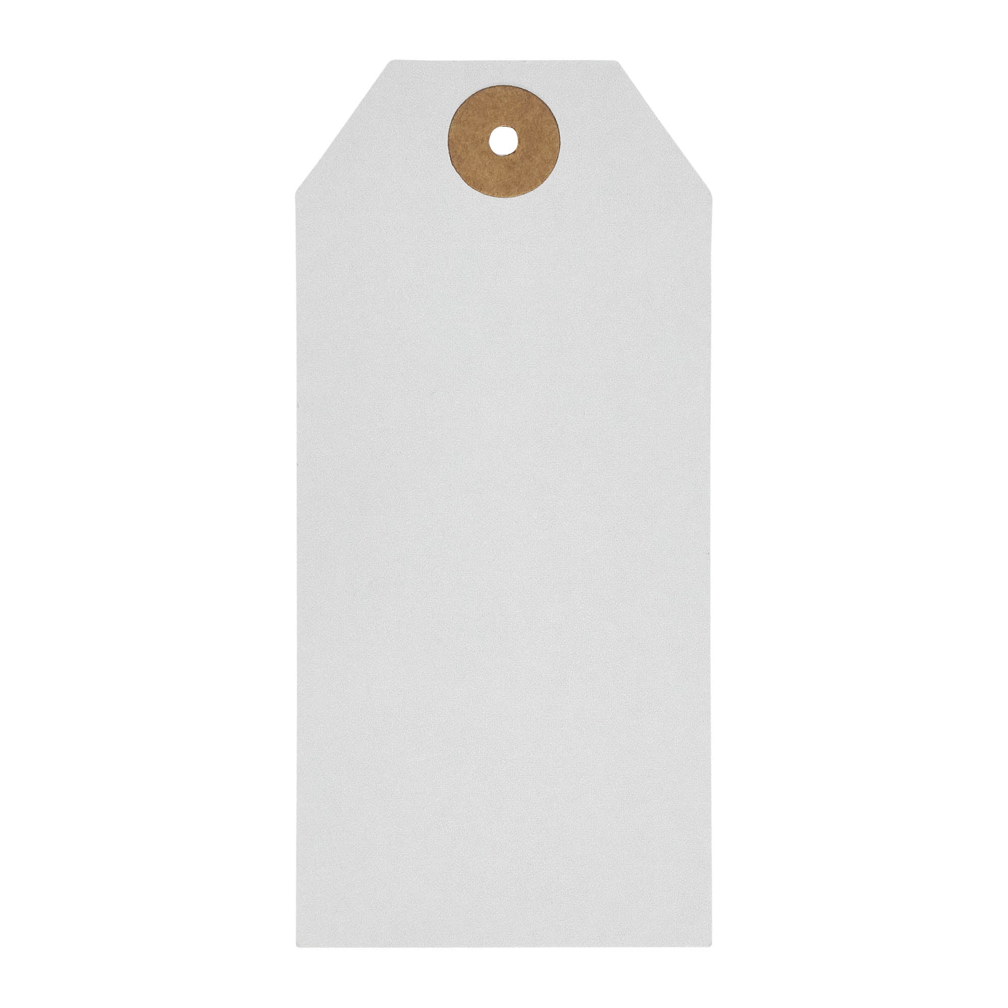 Buzzy Bees Bee Paper Tag 4.75x2.25 w/ Twine Set of 50