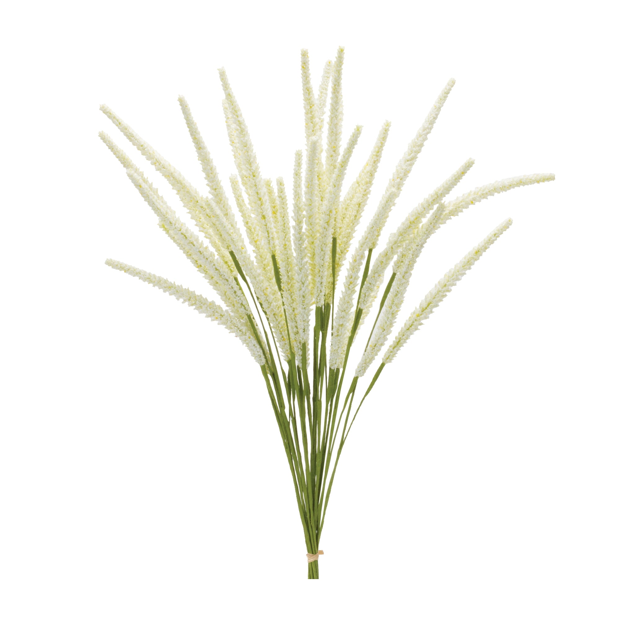 Foxtail Bundle (Set of 6)