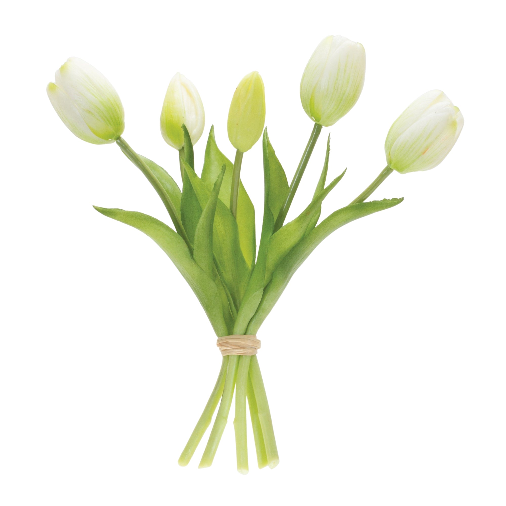 Tulip Floral Bundle (Set of 2)