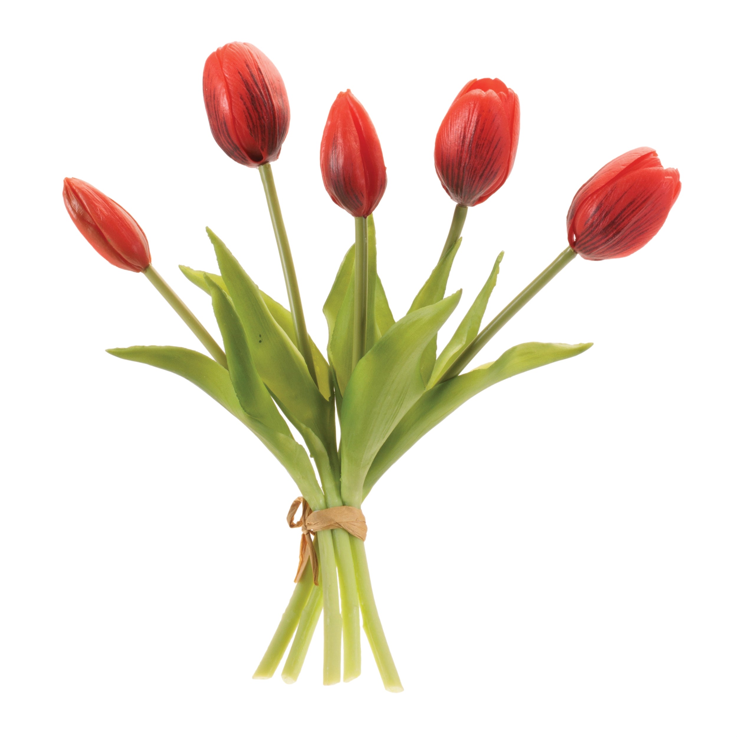 Tulip Floral Bundle (Set of 2)