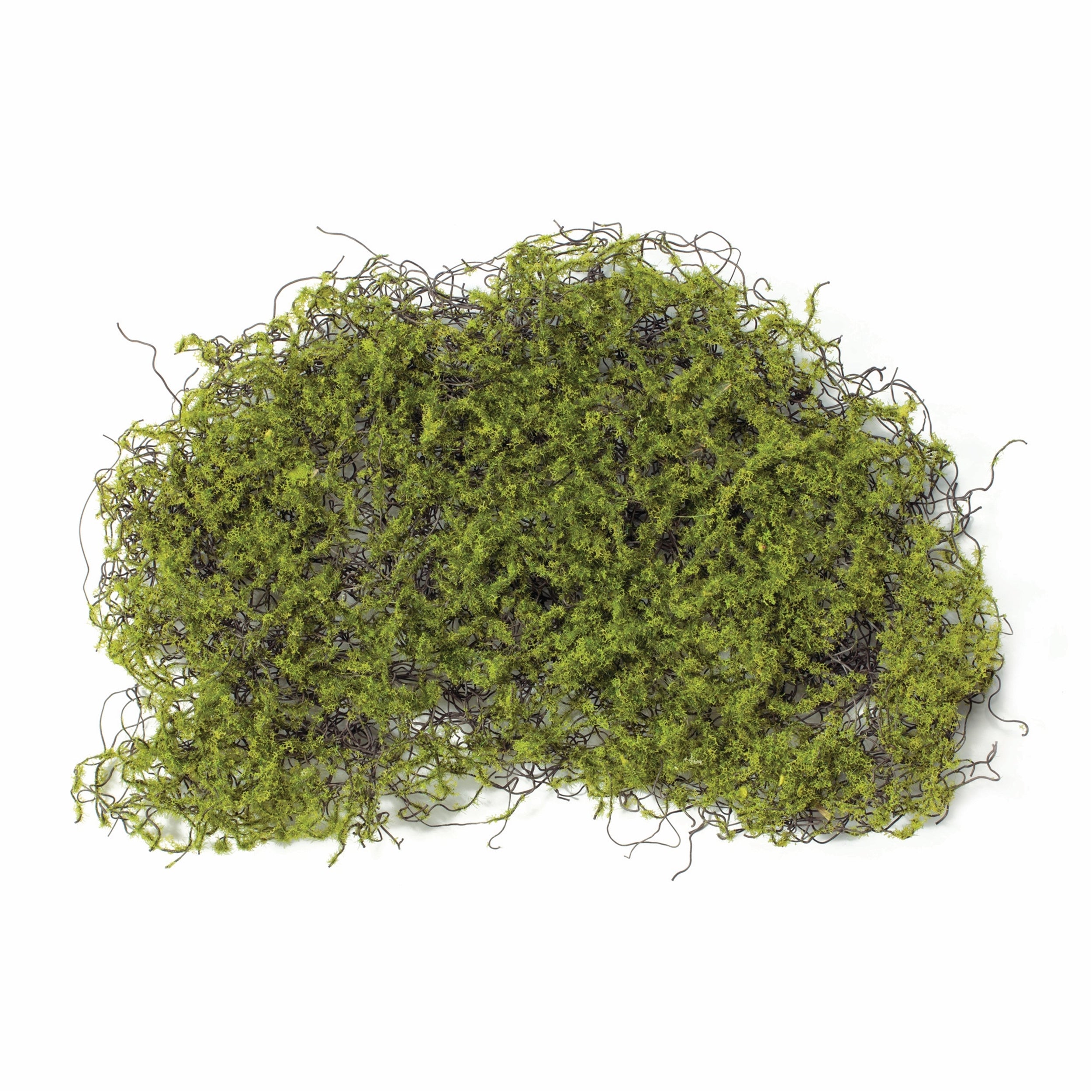 Moss Square (Set of 12)