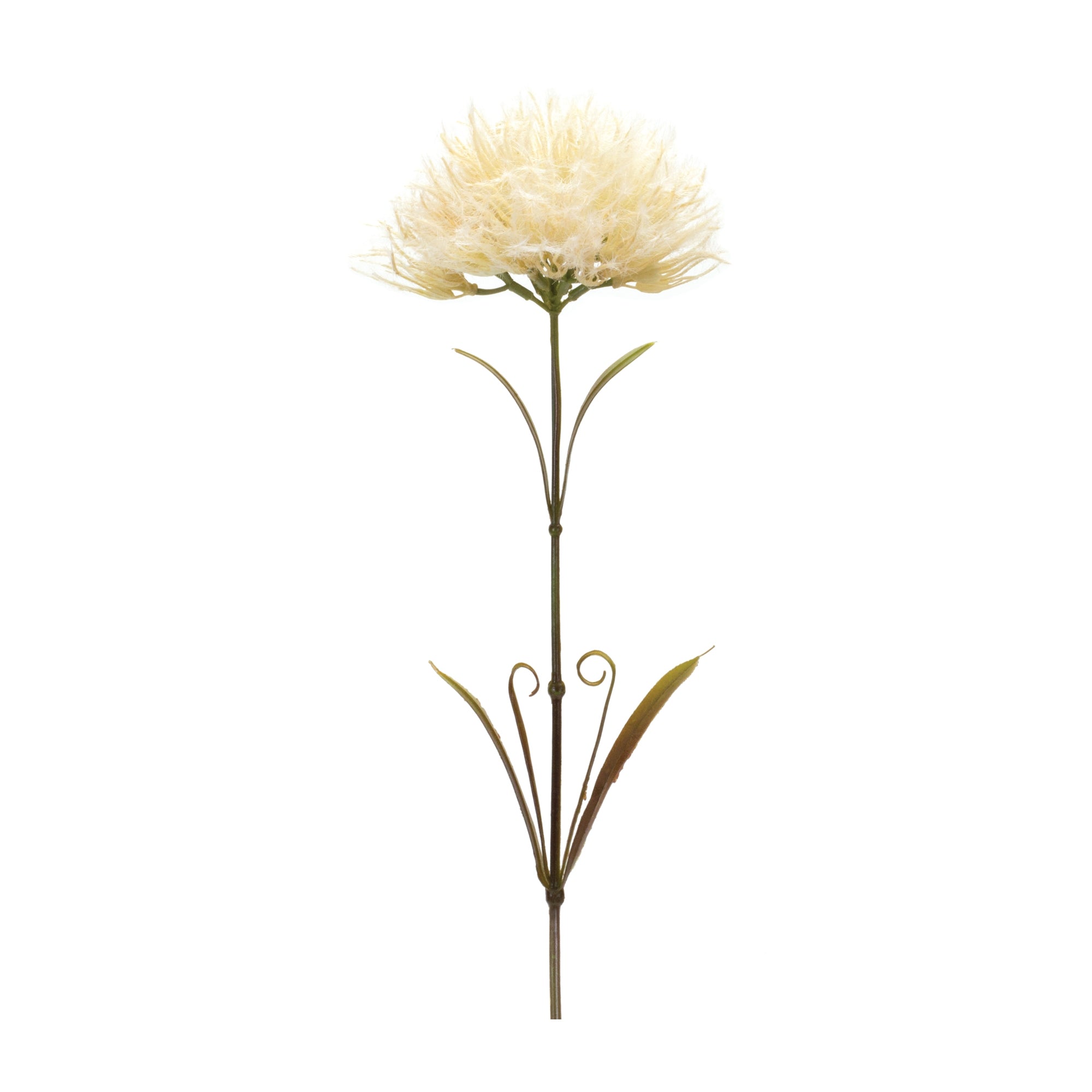 Puff Stem (Set of 6)