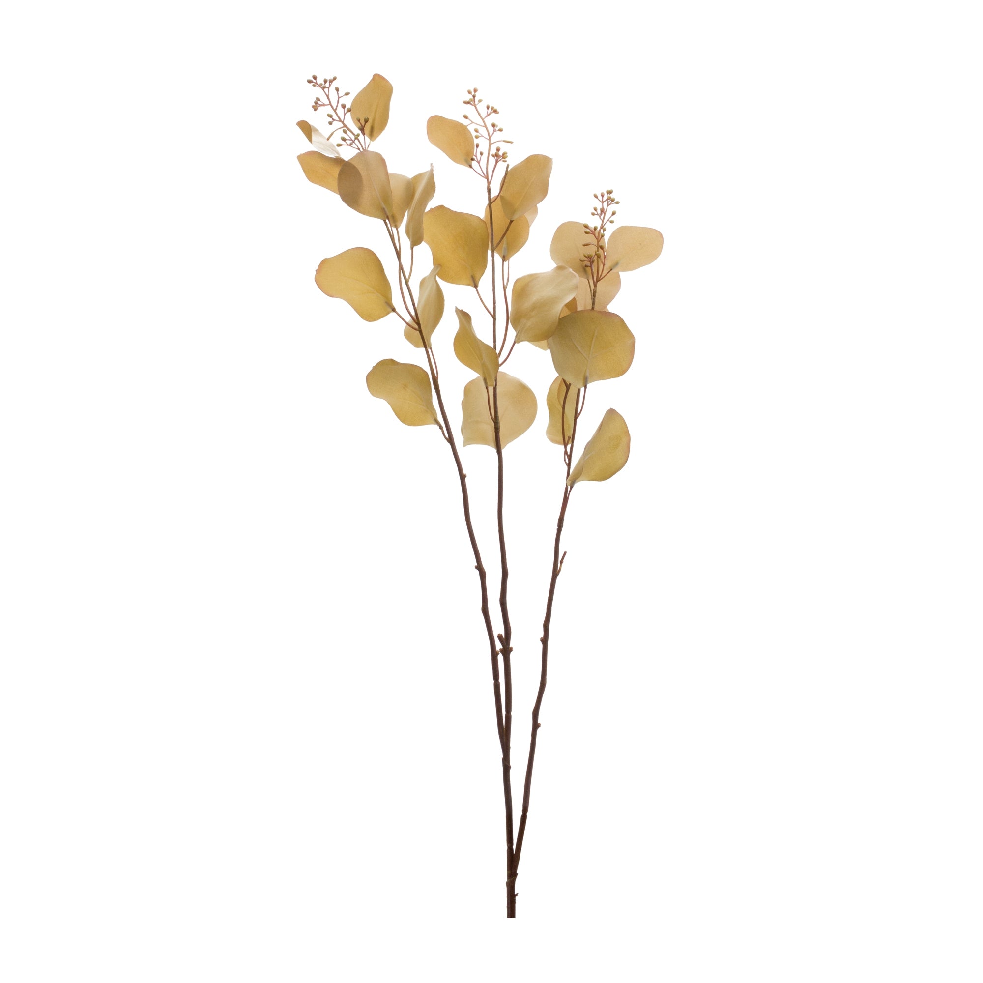 Seeded Eucalyptus Stem (Set of 6)