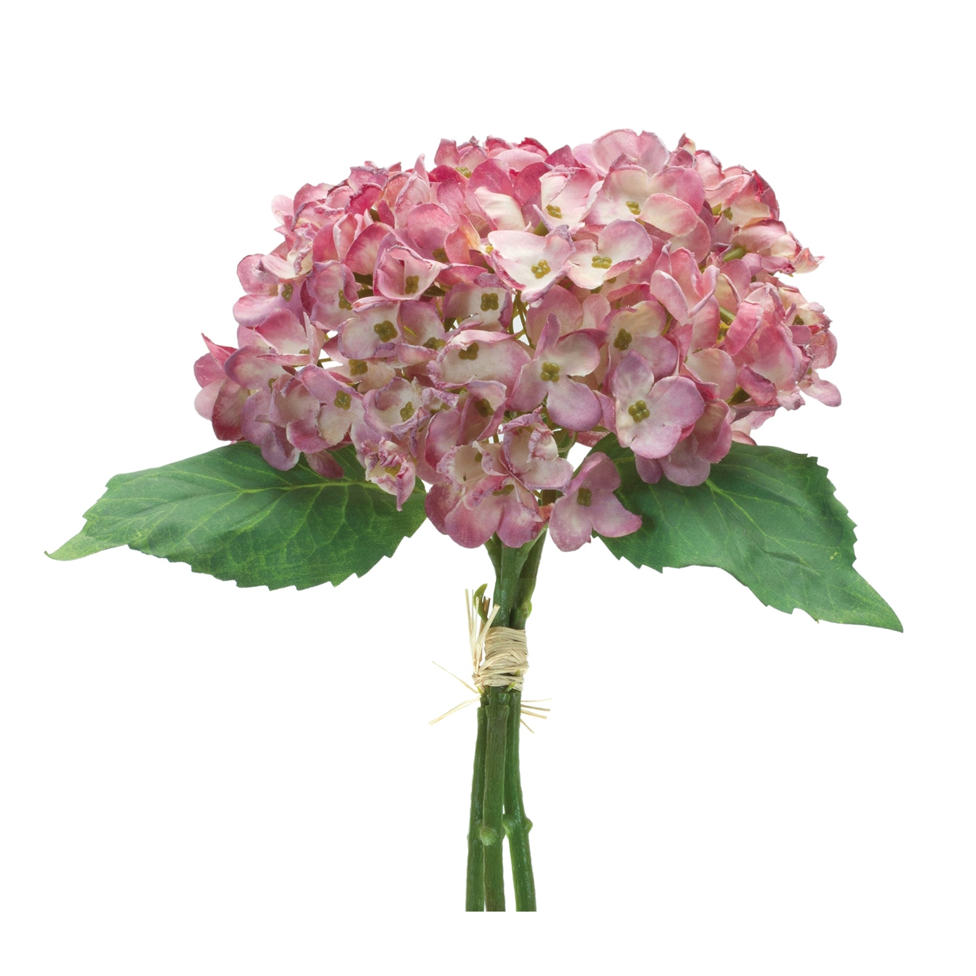 Hydrangea Bundle (Set of 6)