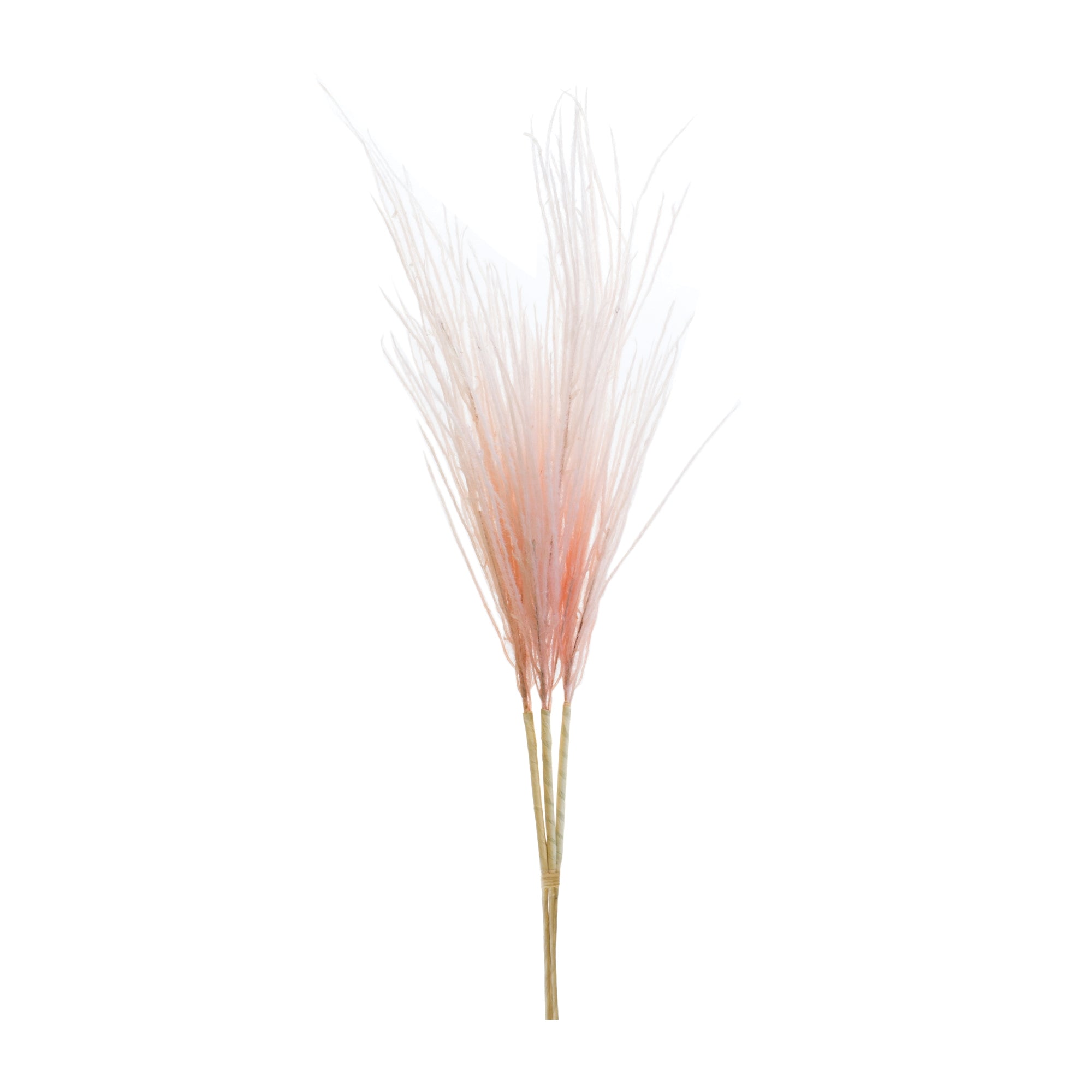 Grass Plume Bundle (Set of 2)