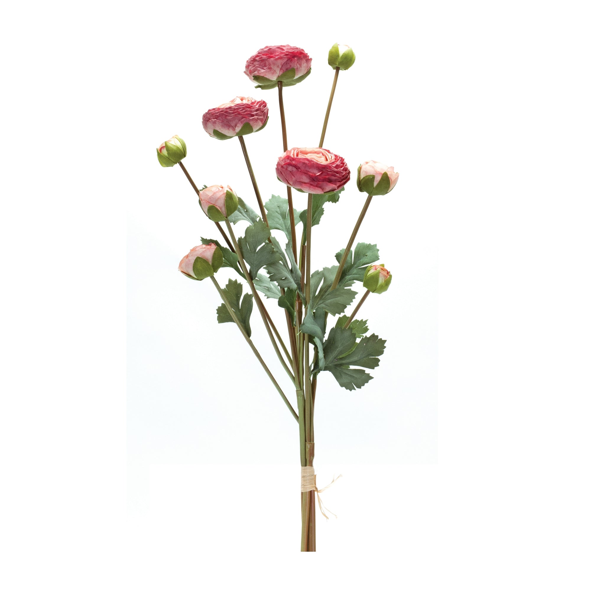 Ranunculus Bundle (Set of 2)