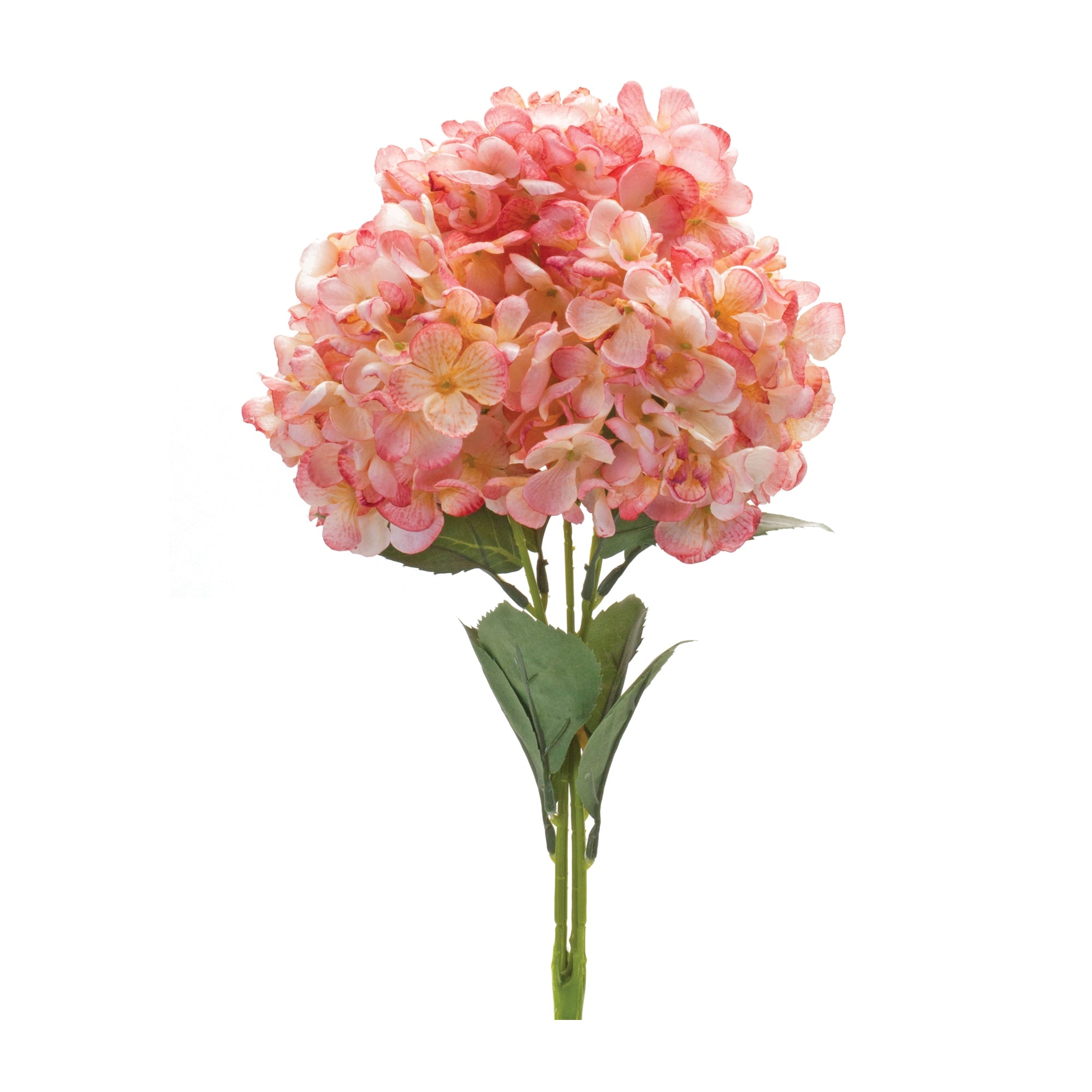 Hydrangea Bush (Set of 2)