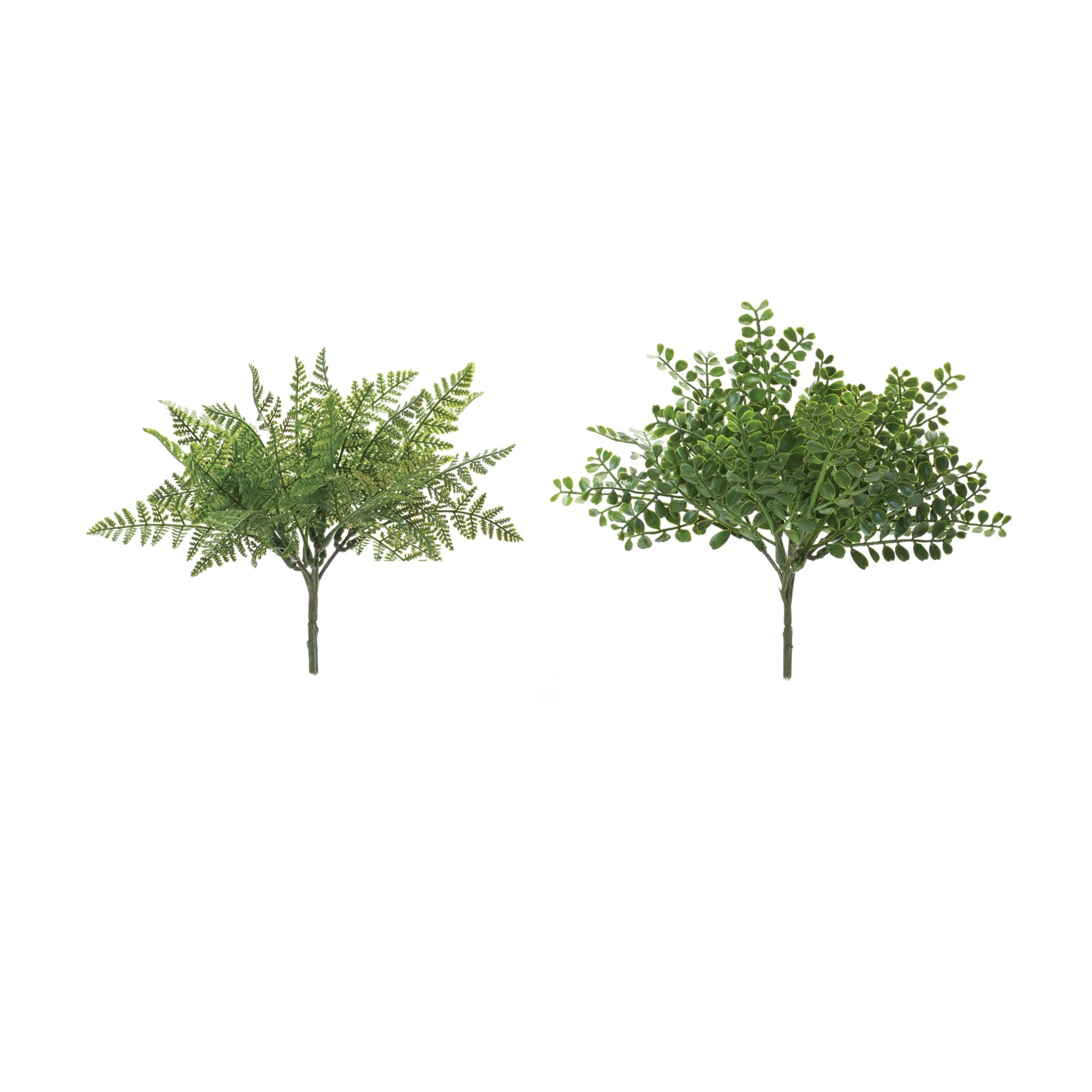 Fern Bush (Set of 12)