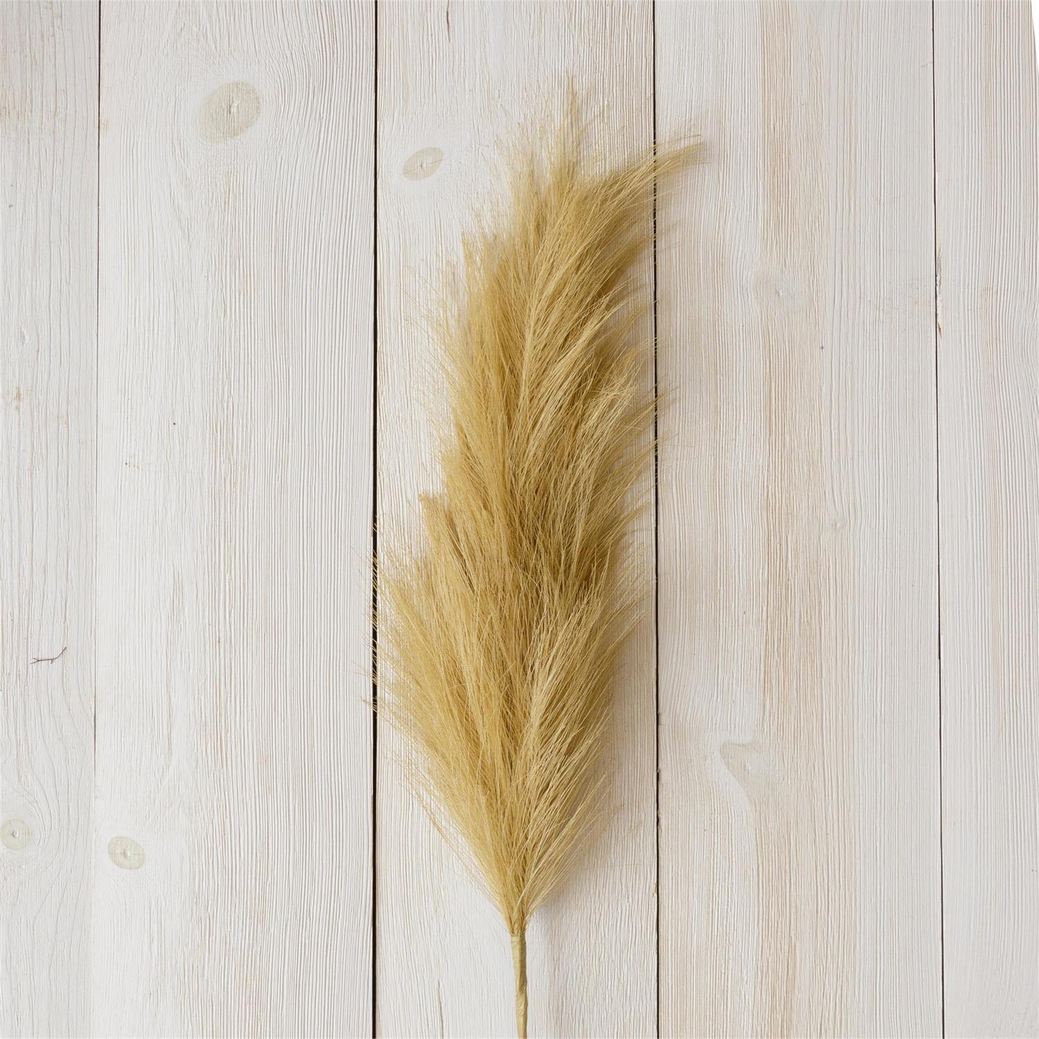 Natural Pampas Plumes (S/2)