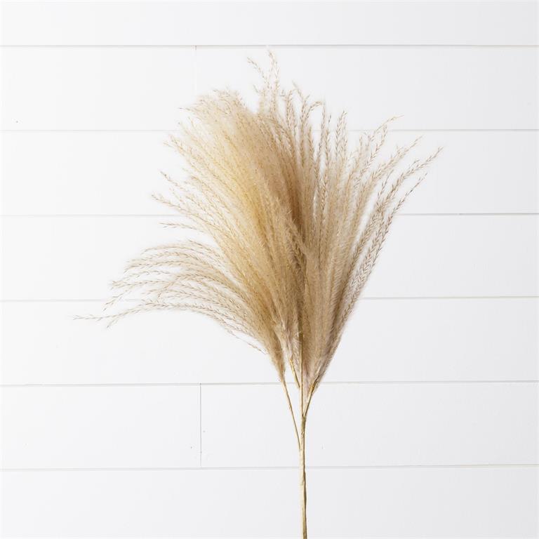 Dried Cream Pampas Branch (S/2)