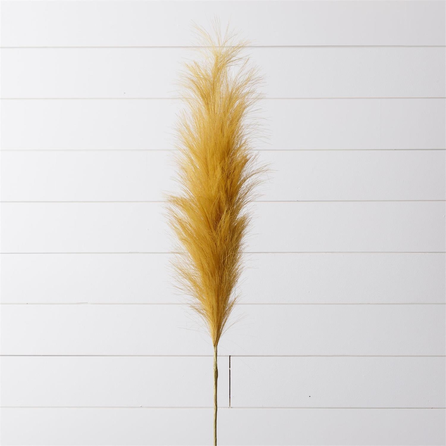 Dried Golden Pampas Branch (S/2)