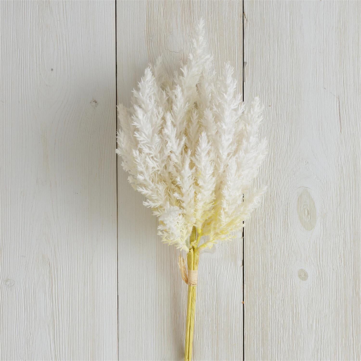 Natural Pampas Plumes (S/2)