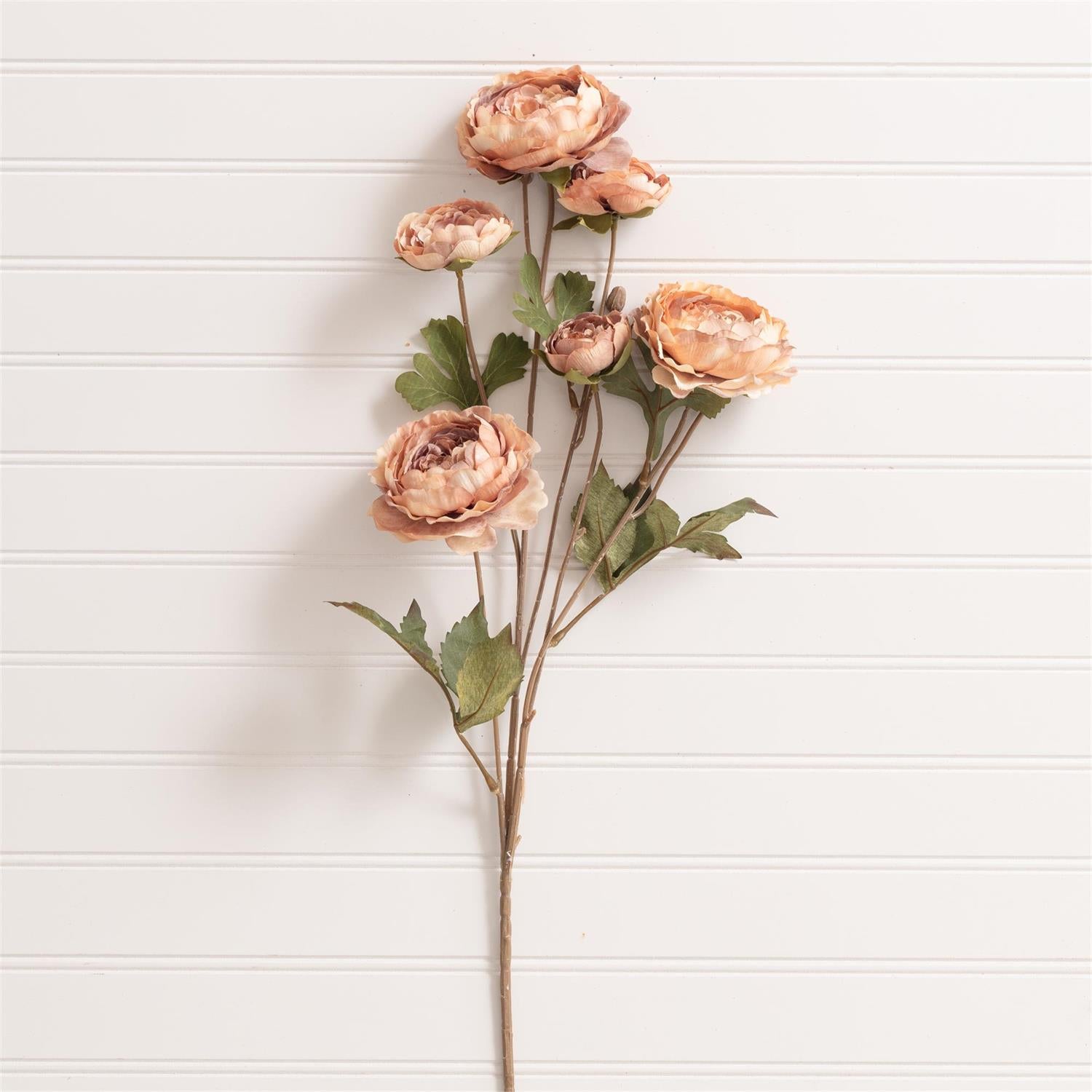 Pick - Ranunculus Blush