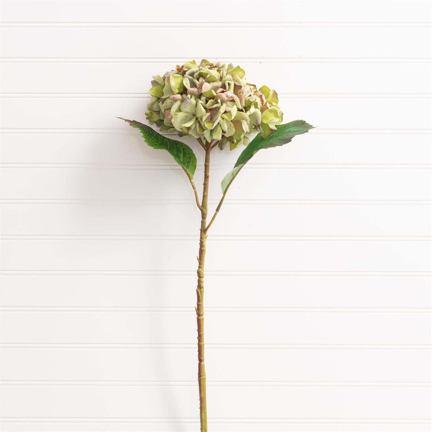 Pick - Hydrangea Green