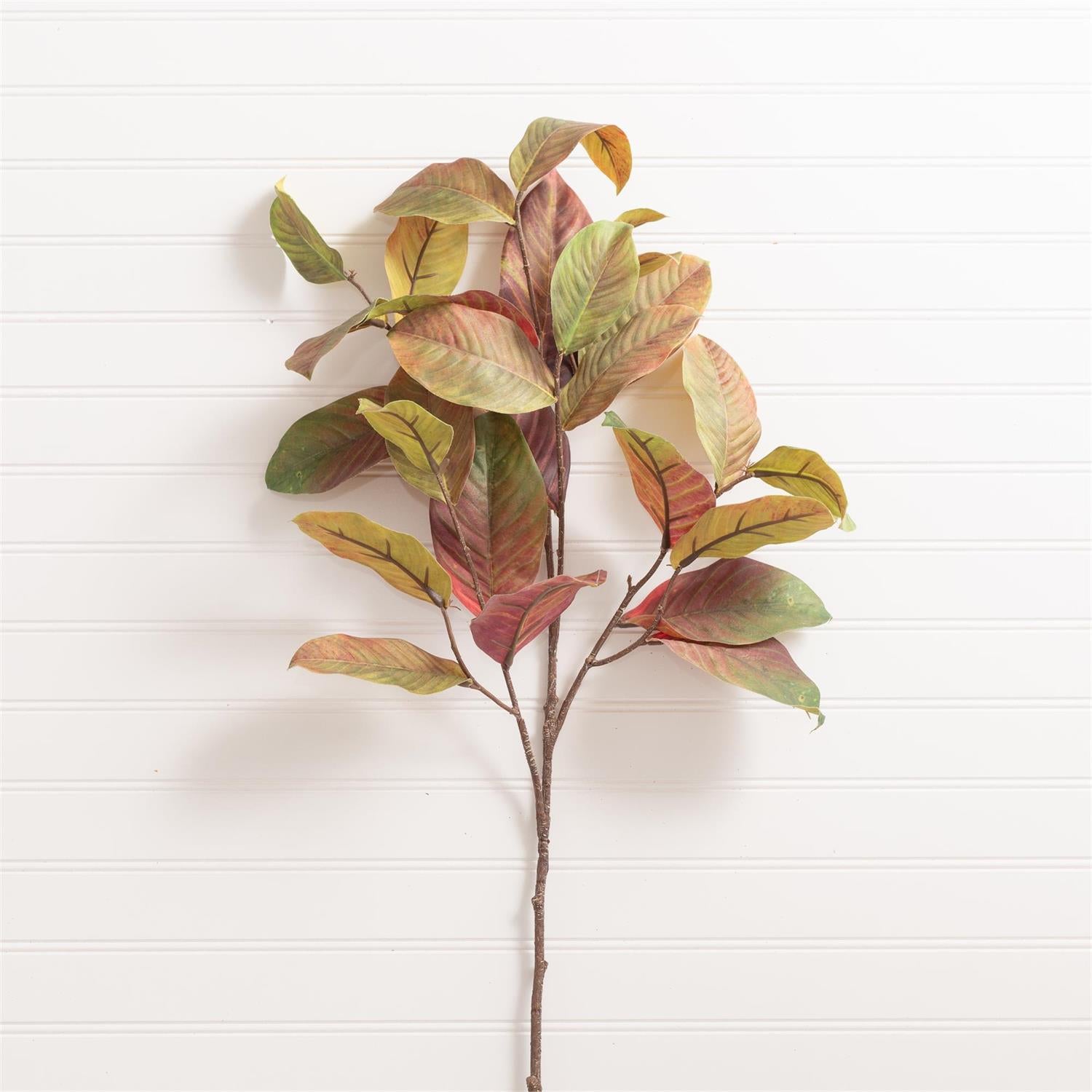 Branch - Green Leaves With Brown Tone