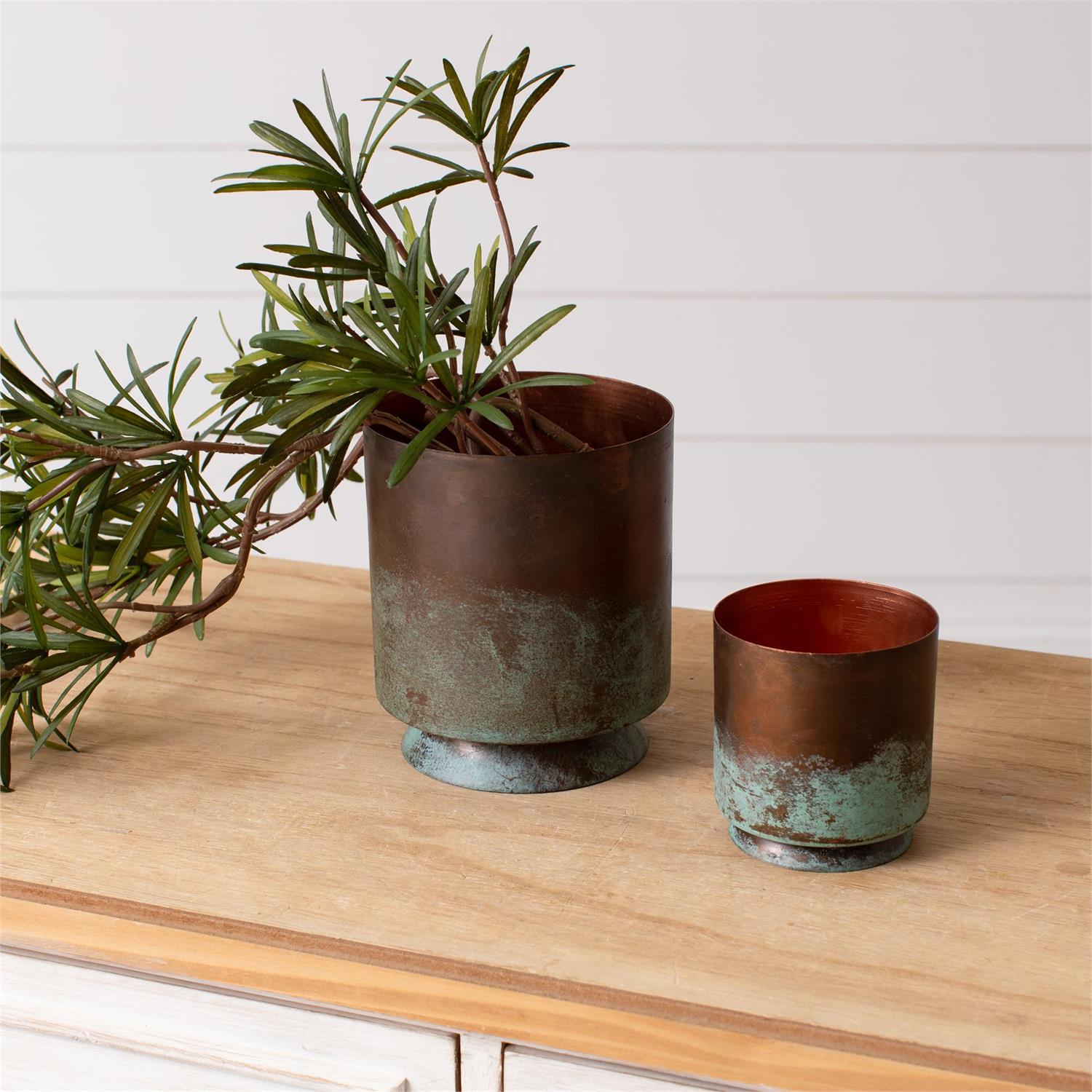 Tarnished Planters (S/2)