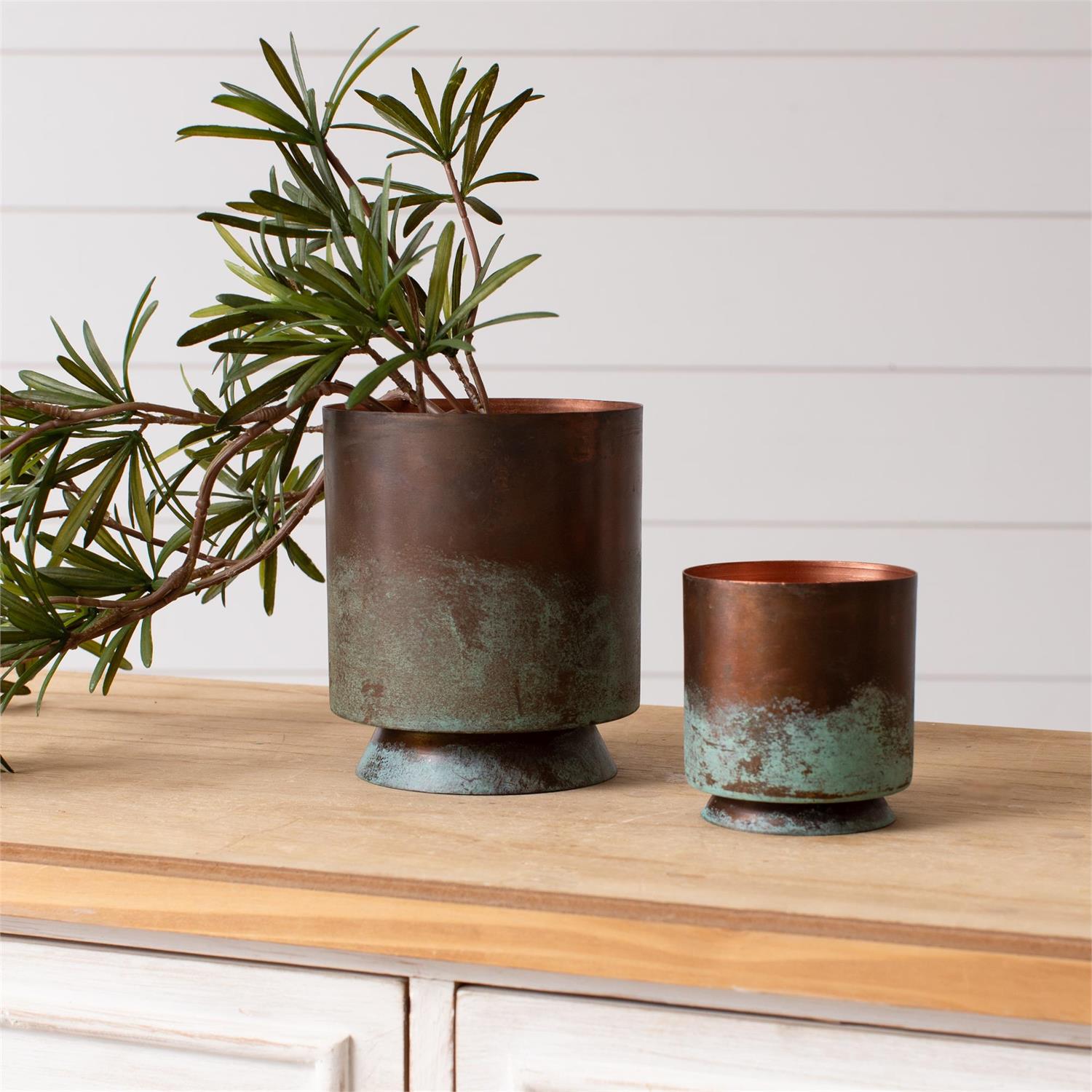 Tarnished Planters (S/2)