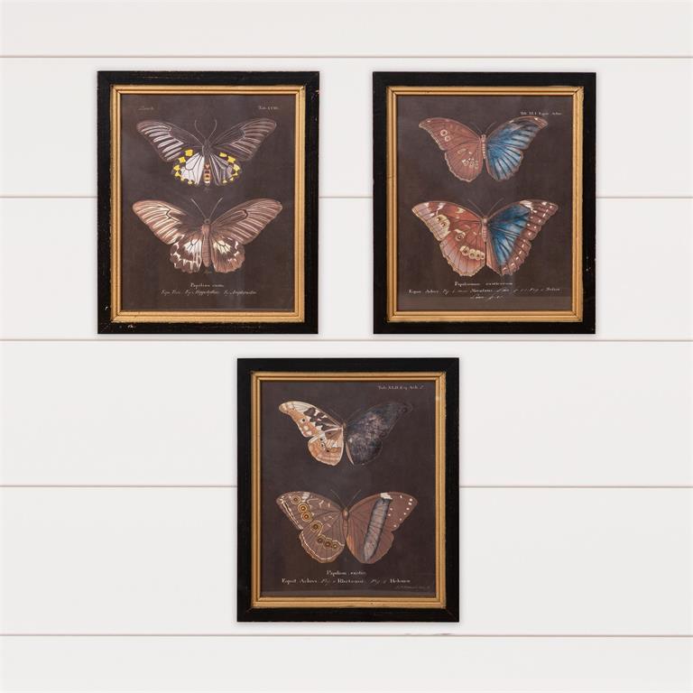 Vintage Butterflies Artwork (S/3)