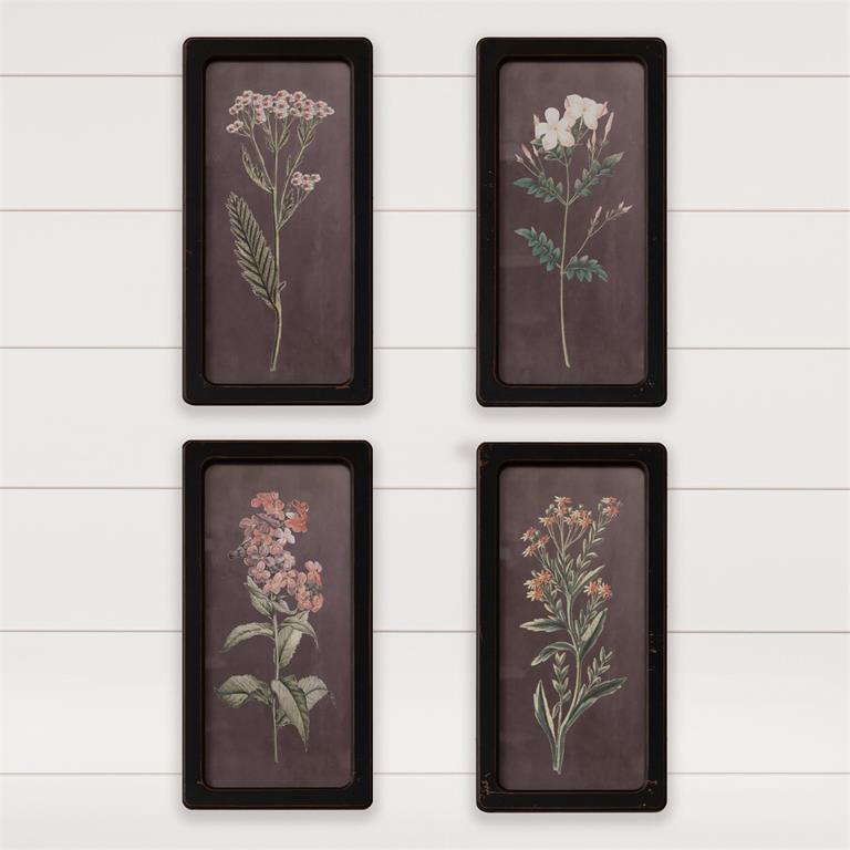Black Ground Botanical Artwork (S/4)
