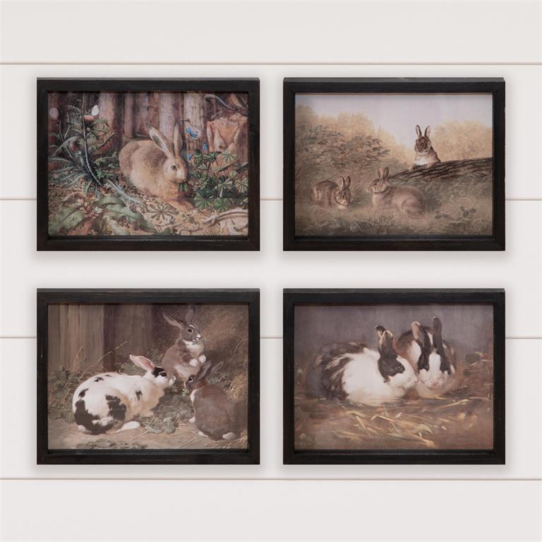 Antique Rabbits Framed Artwork (S/4)
