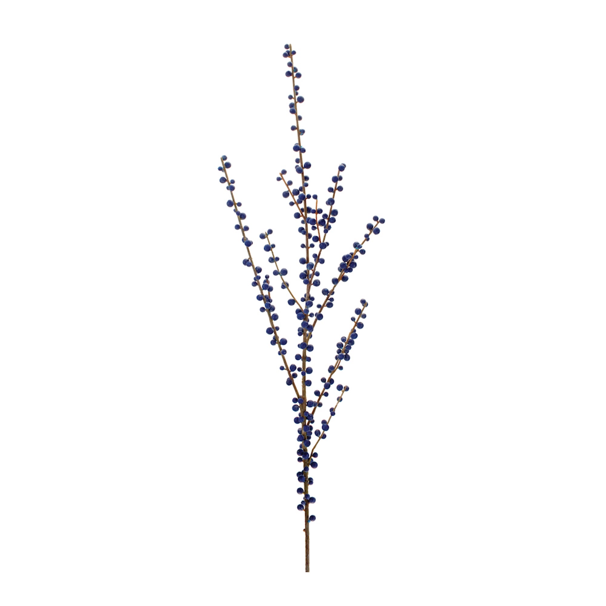 Ilex Blue Berry Spray (Set of 2)