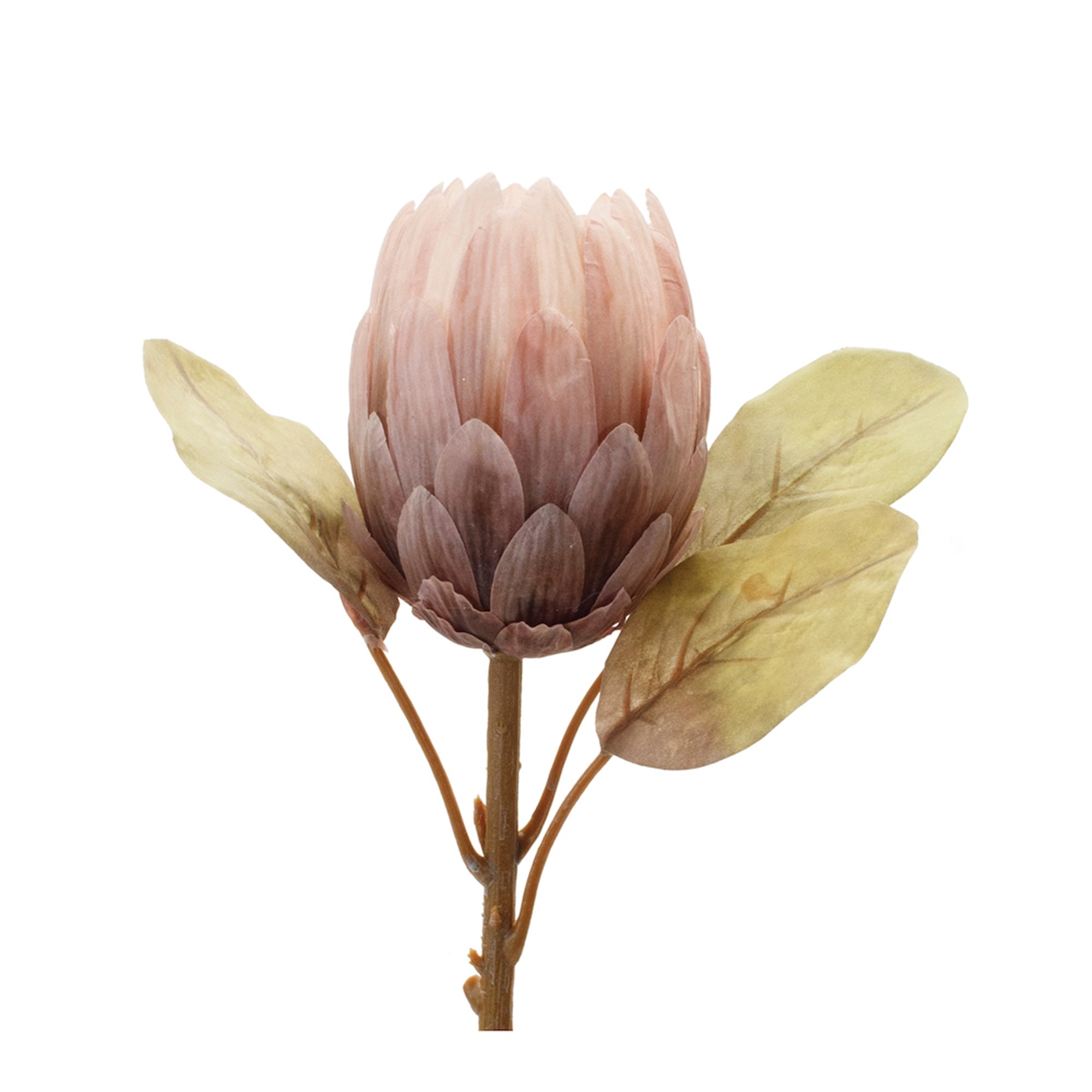 Protea Stem 26”H Polyester