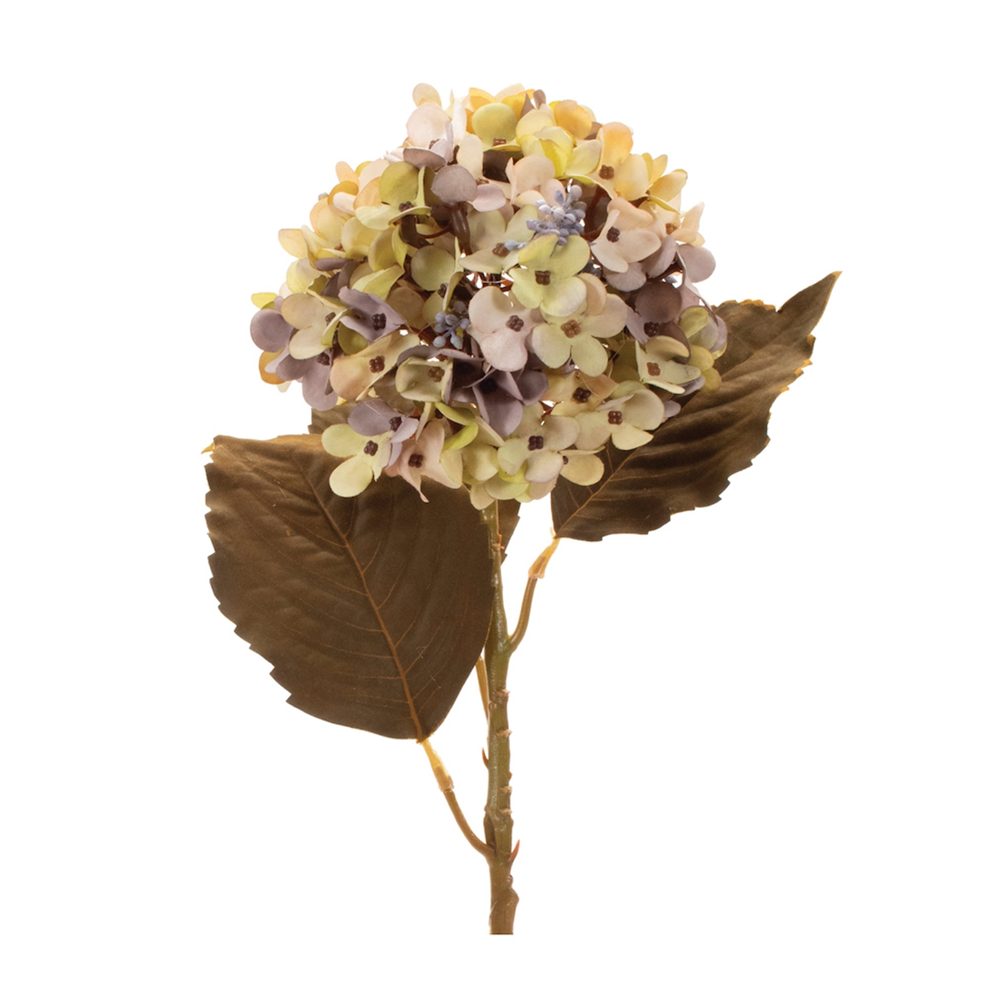 Hydrangea Stem 21”H Polyester