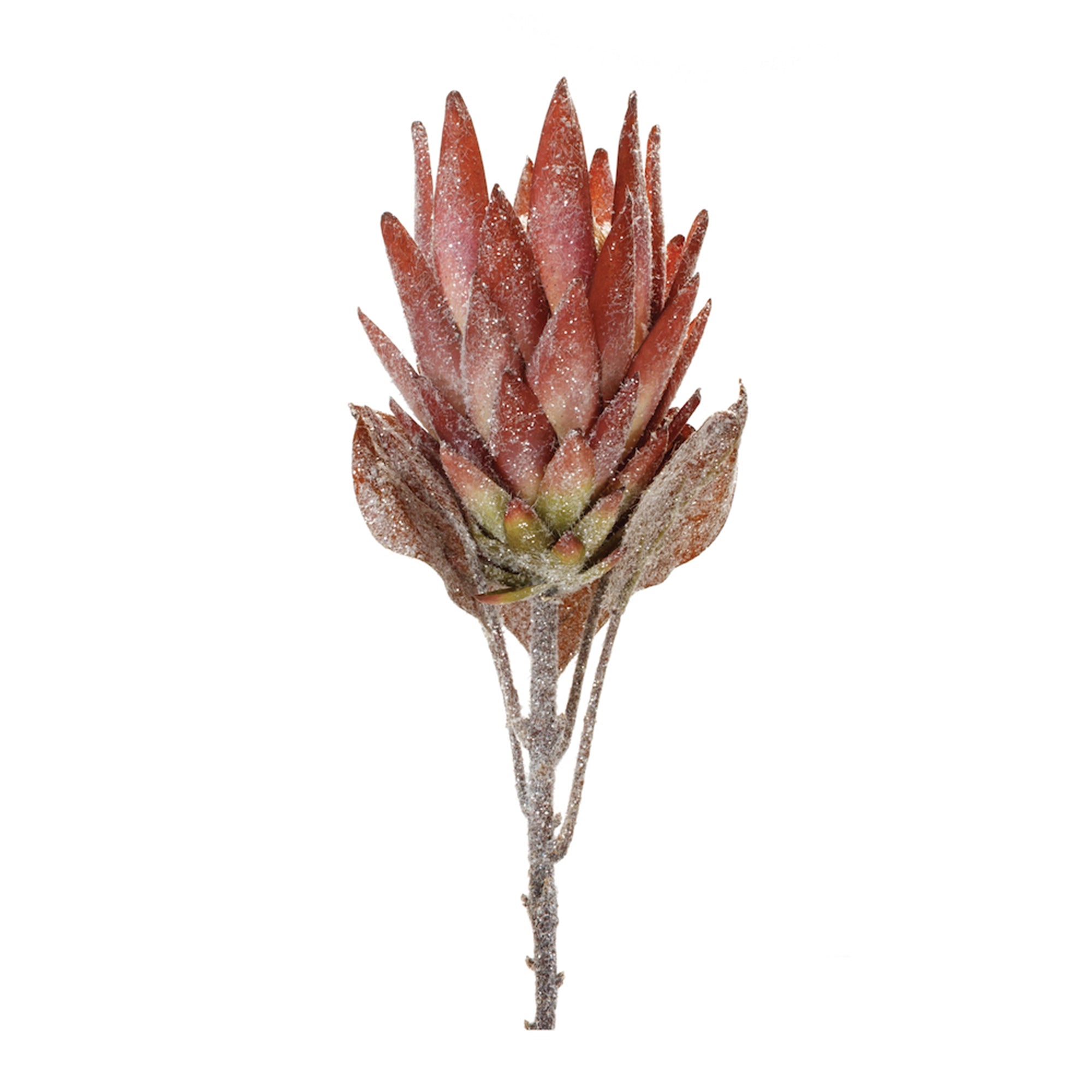 Protea Stem 29”H Polyester