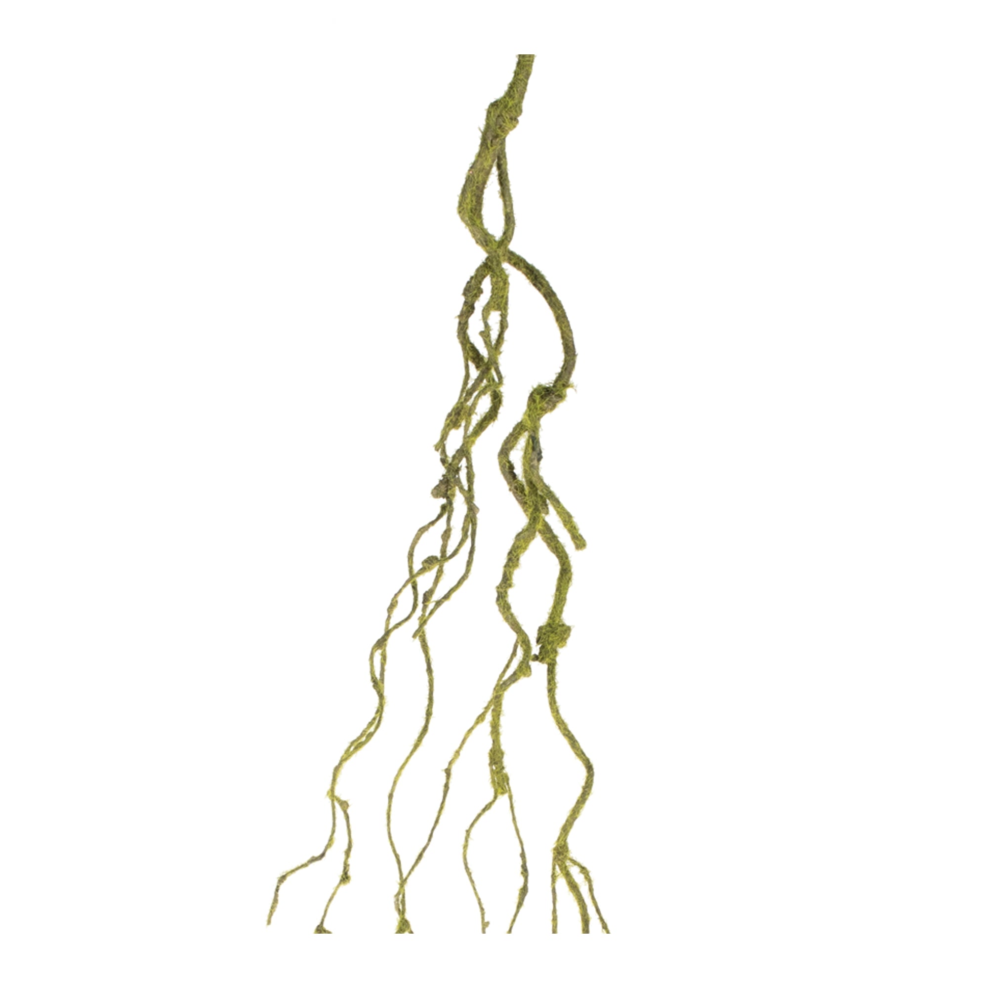 Mossy Twig Vine (Set of 6)