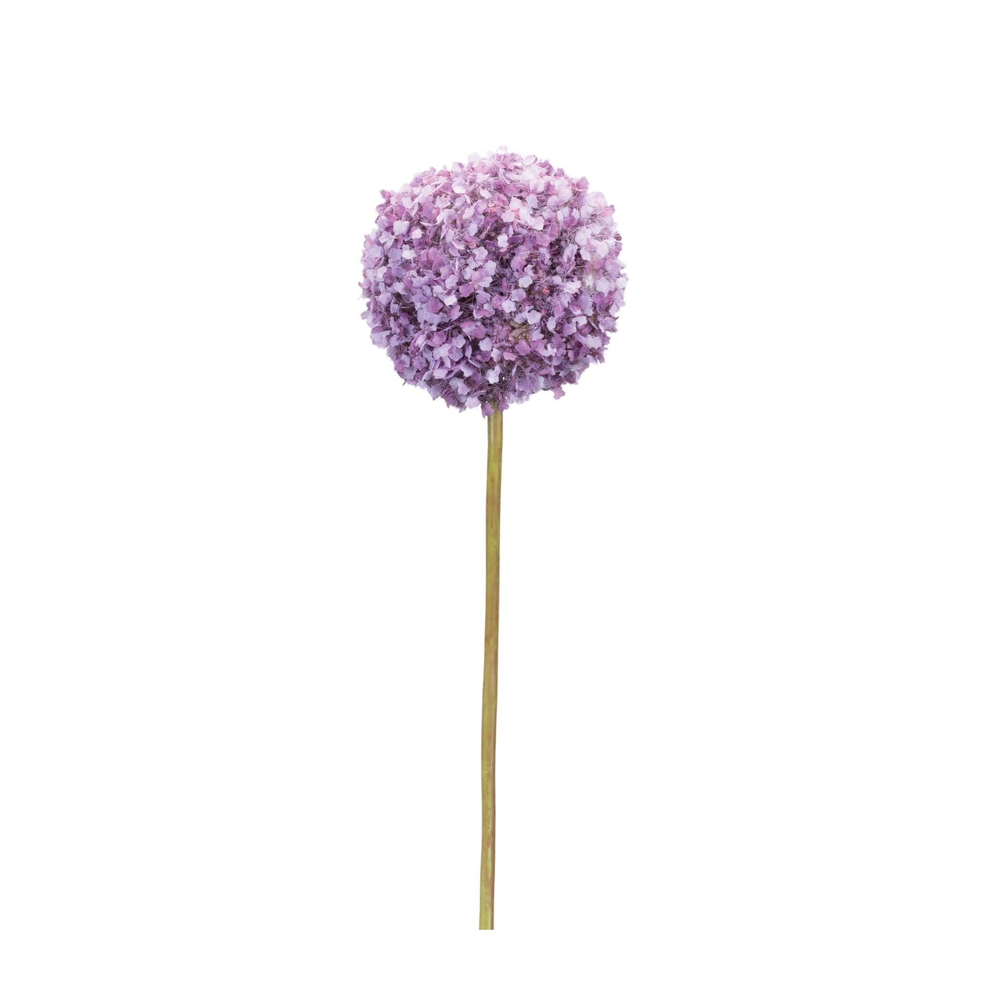 Puple Allium Floral Stem (Set of 6)