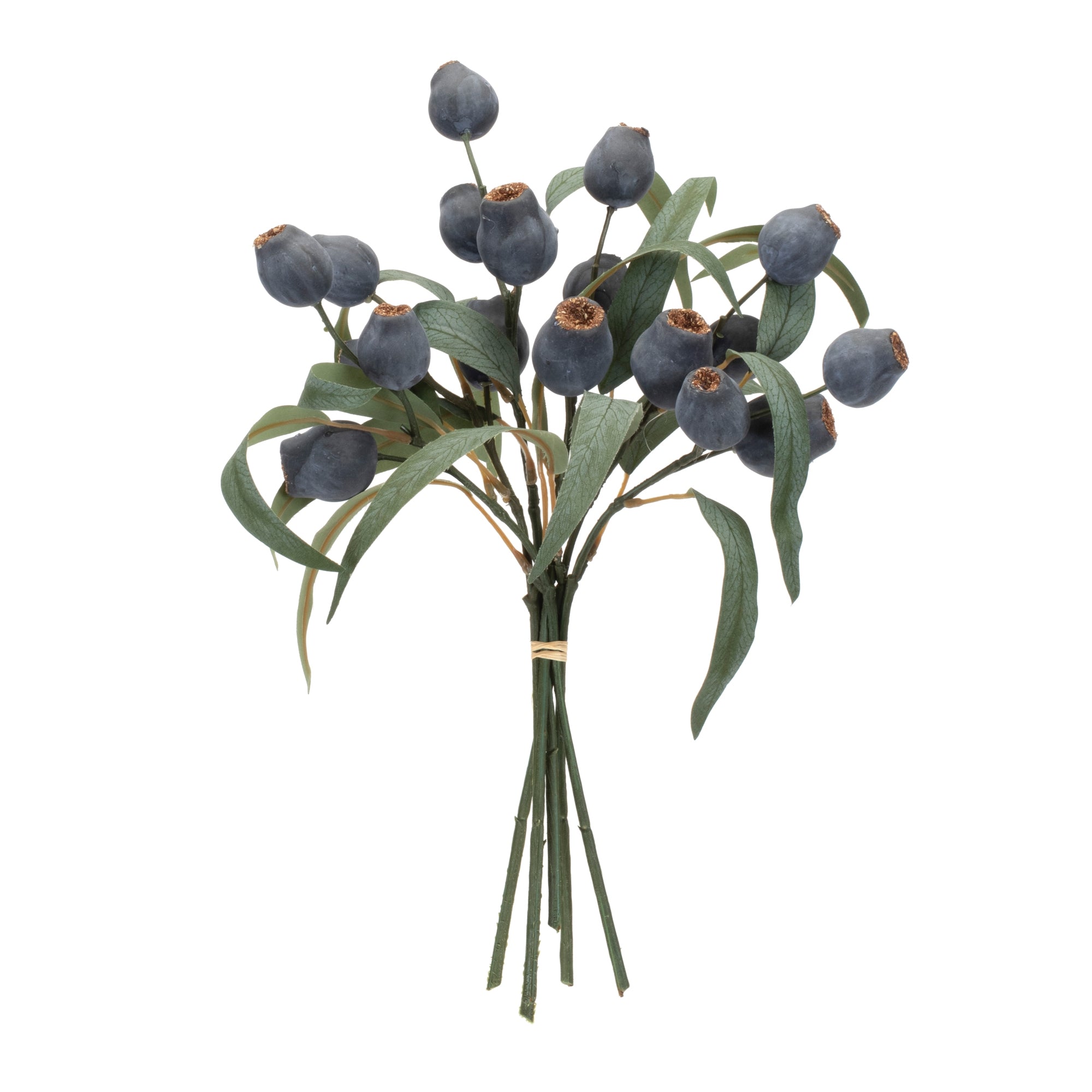 Blue Pod Foliage Bundle (Set of 2)