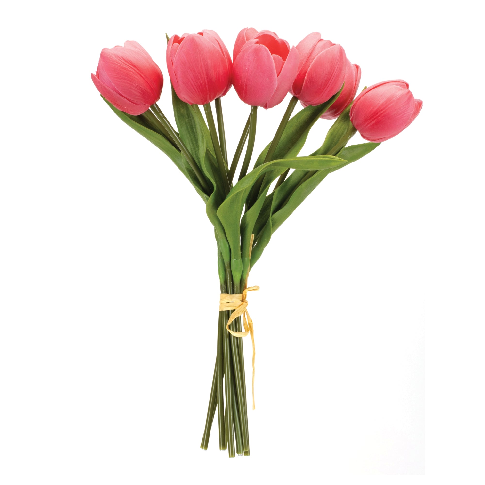 Tulip Floral Bundle (Set of 2)