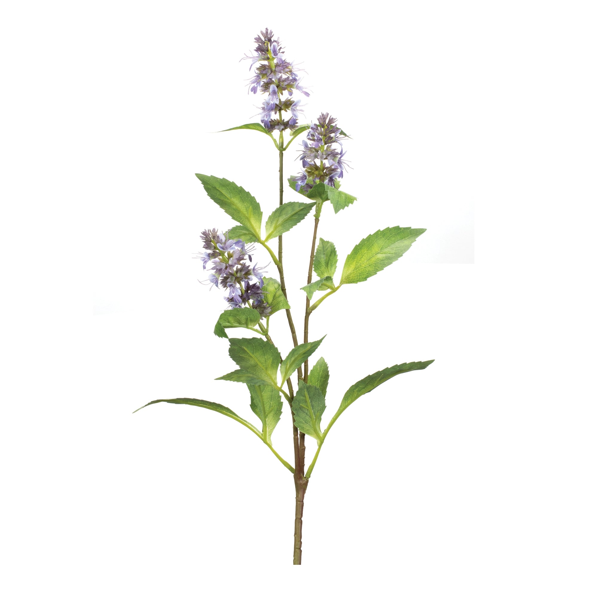 Buddleia Floral Stem (Set of 6)