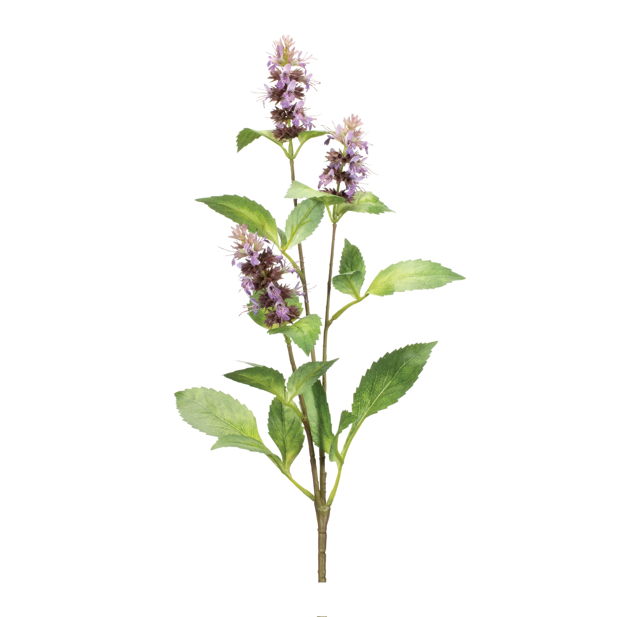 Buddleia Floral Stem (Set of 6)