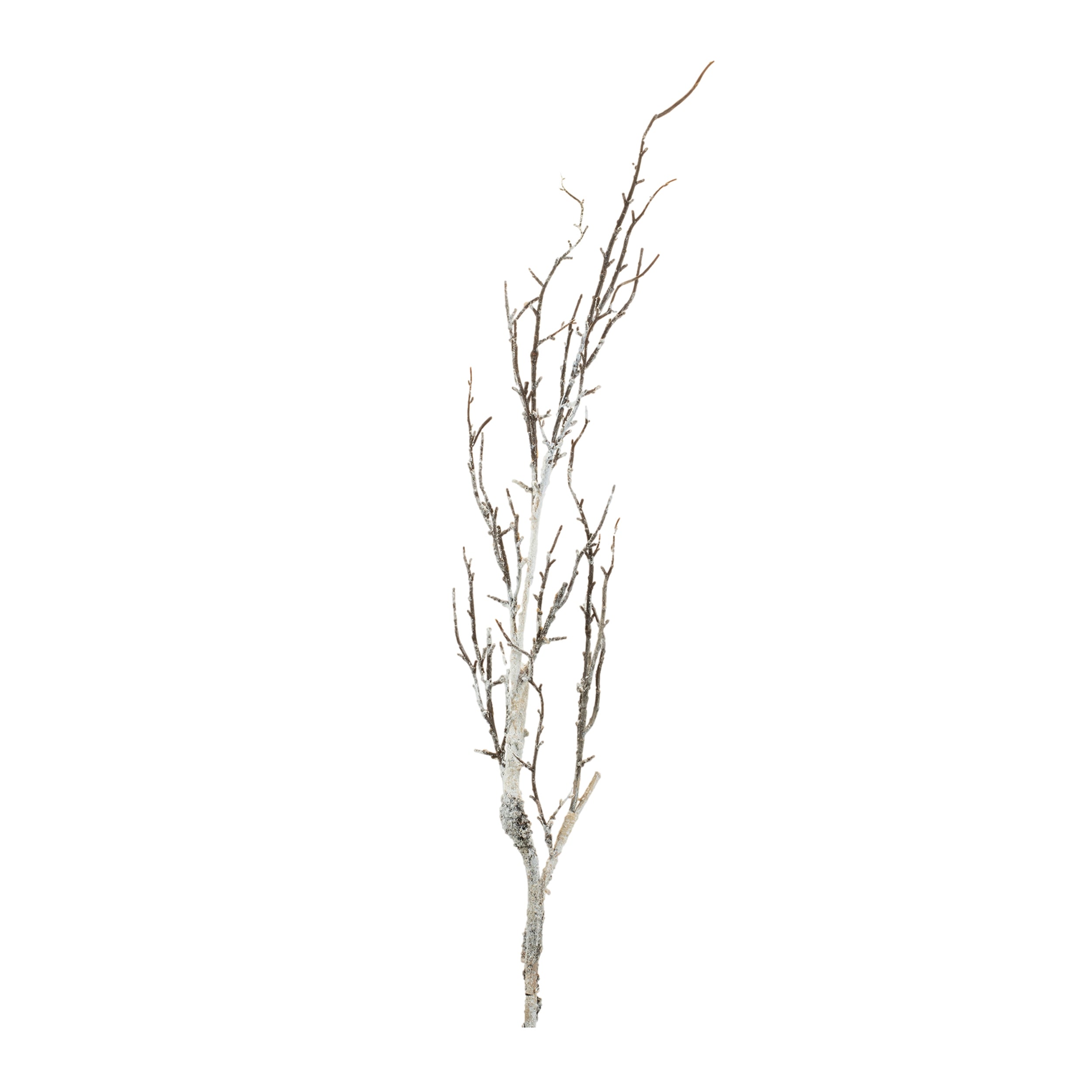 Birch Twig Branch 48”H