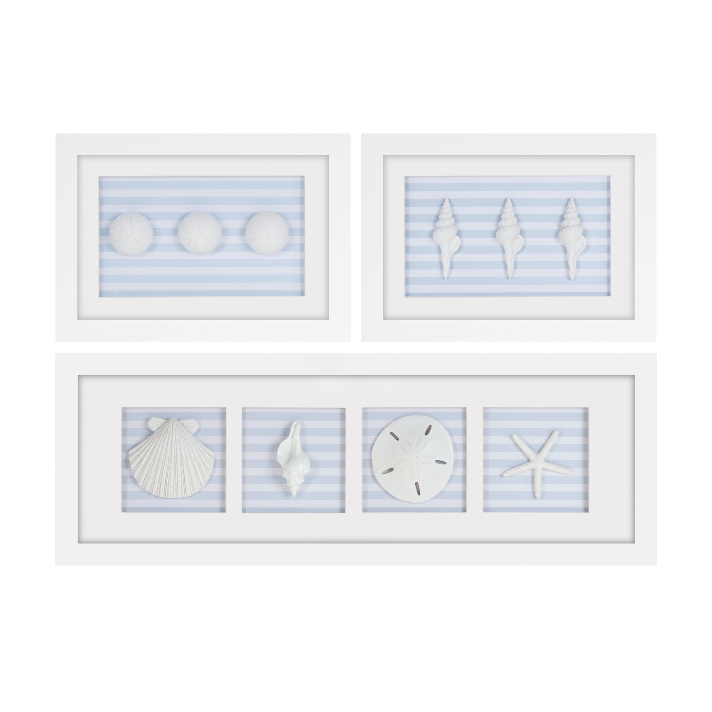 Framed Sand Dollar and Shells Print (Set of 3) 13"L x 9"H, 26.5"L x 9"H Plastic/Resin